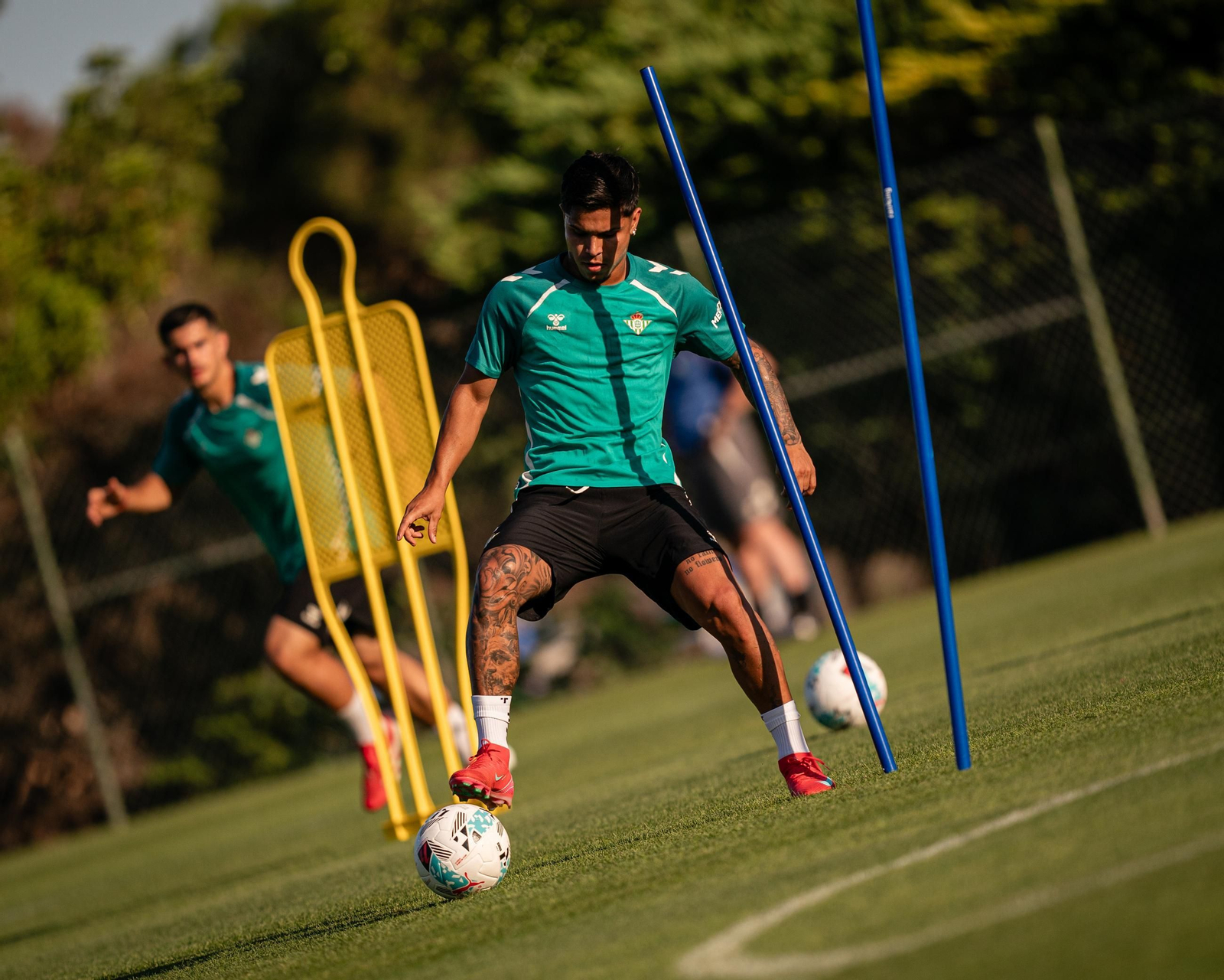 Las fotos del Betis con los recién llegados a Almancil