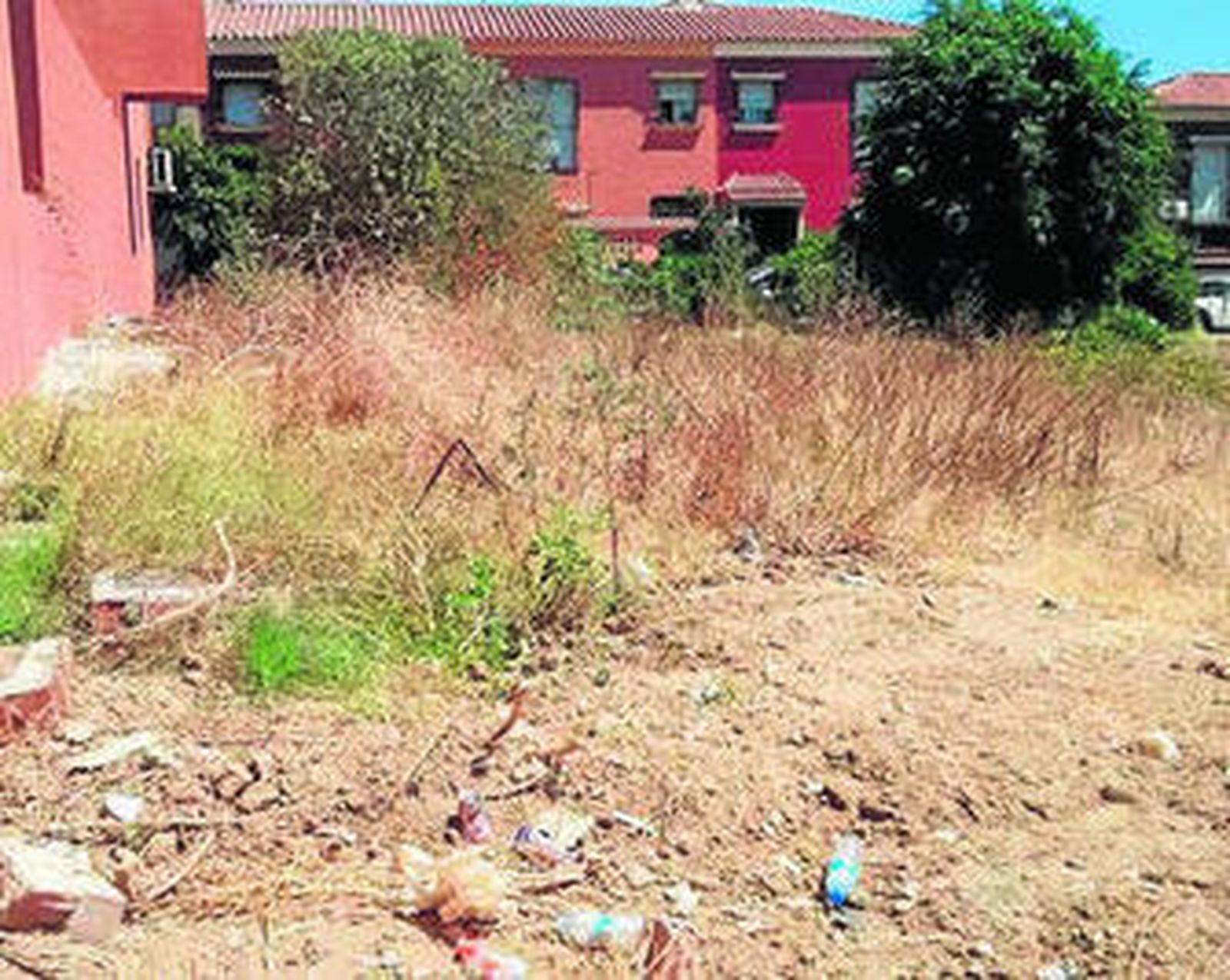 Estado en el que se encuentra el solar municipal de la zona.