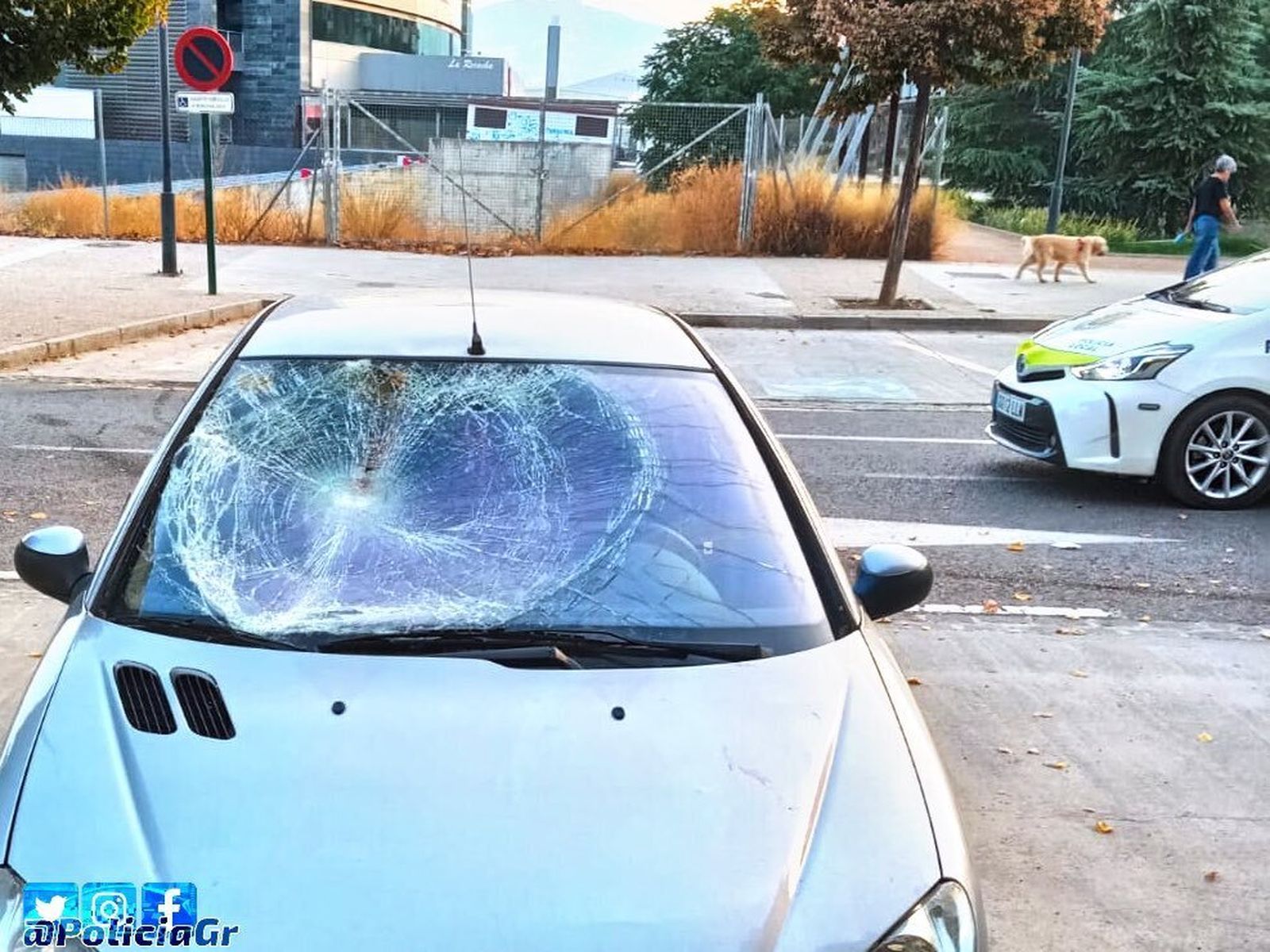 Imagen del estado en el que quedó el coche del autor del atropello