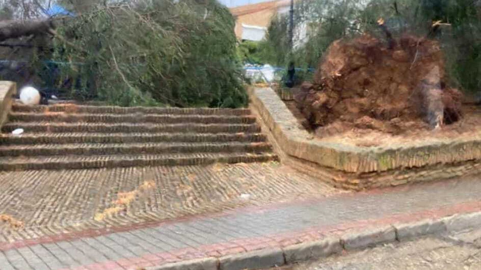 Daños del temporal en Tharsis