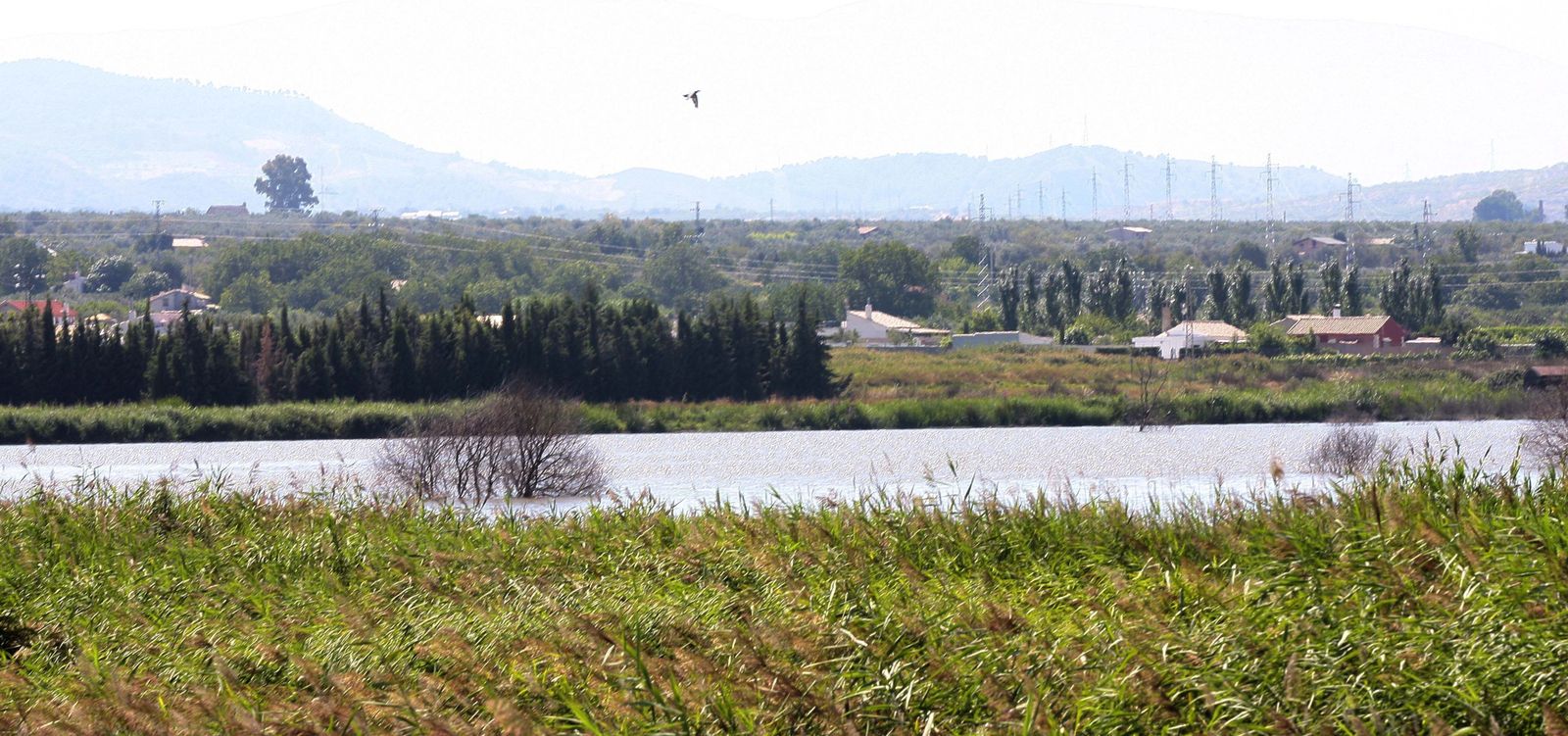 La larga historia del hombre en los humedales del Padul