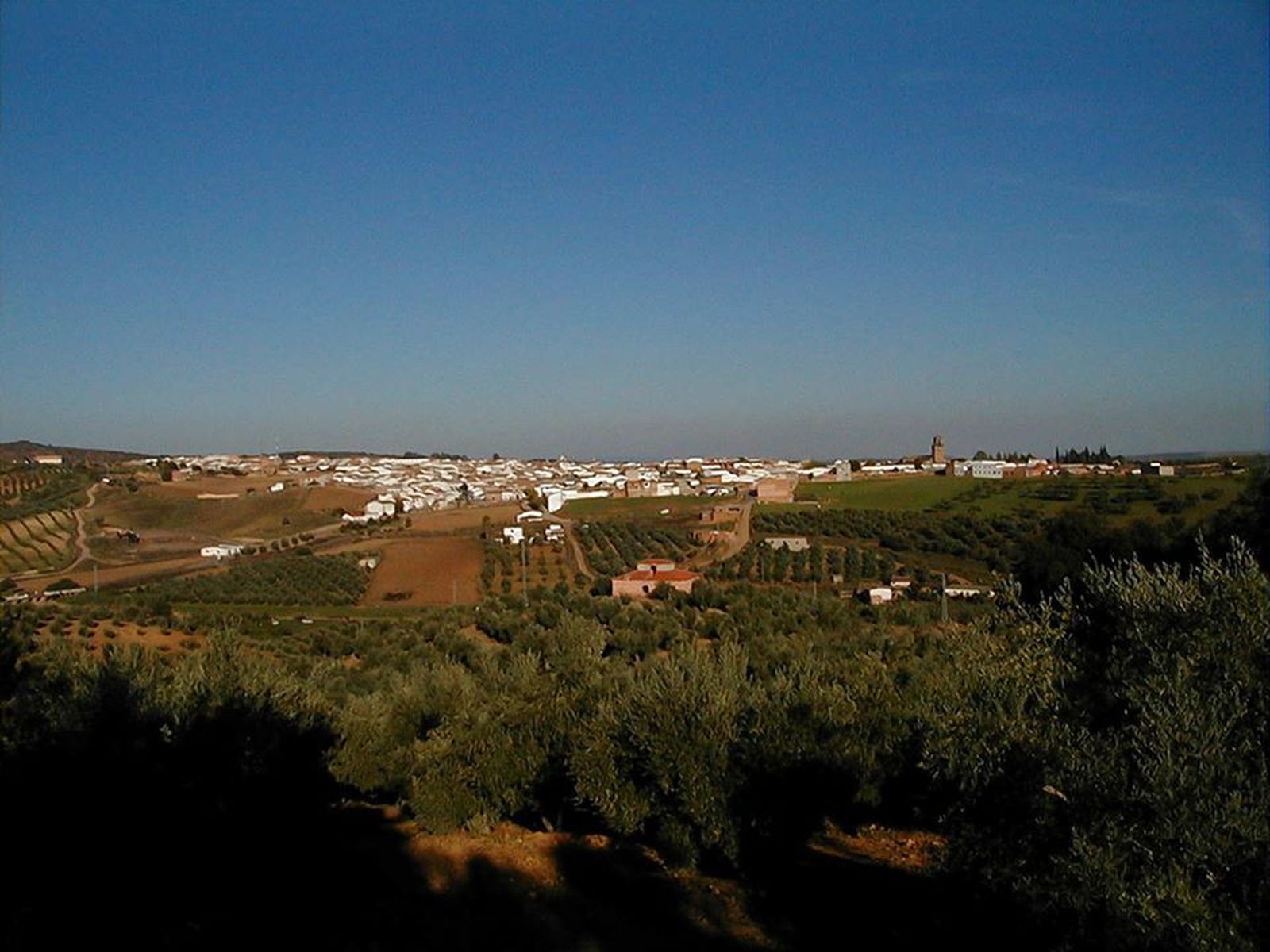 Vista panorámica de Adamuz.