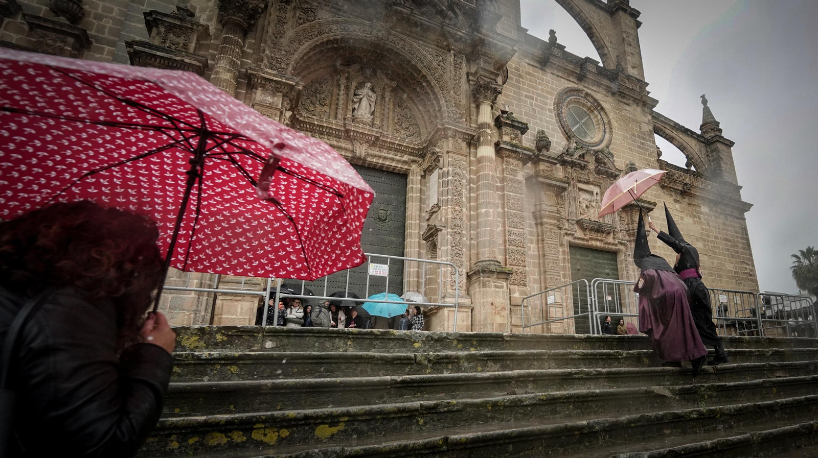 La Hermandad de La Viga de Jerez en imágenes