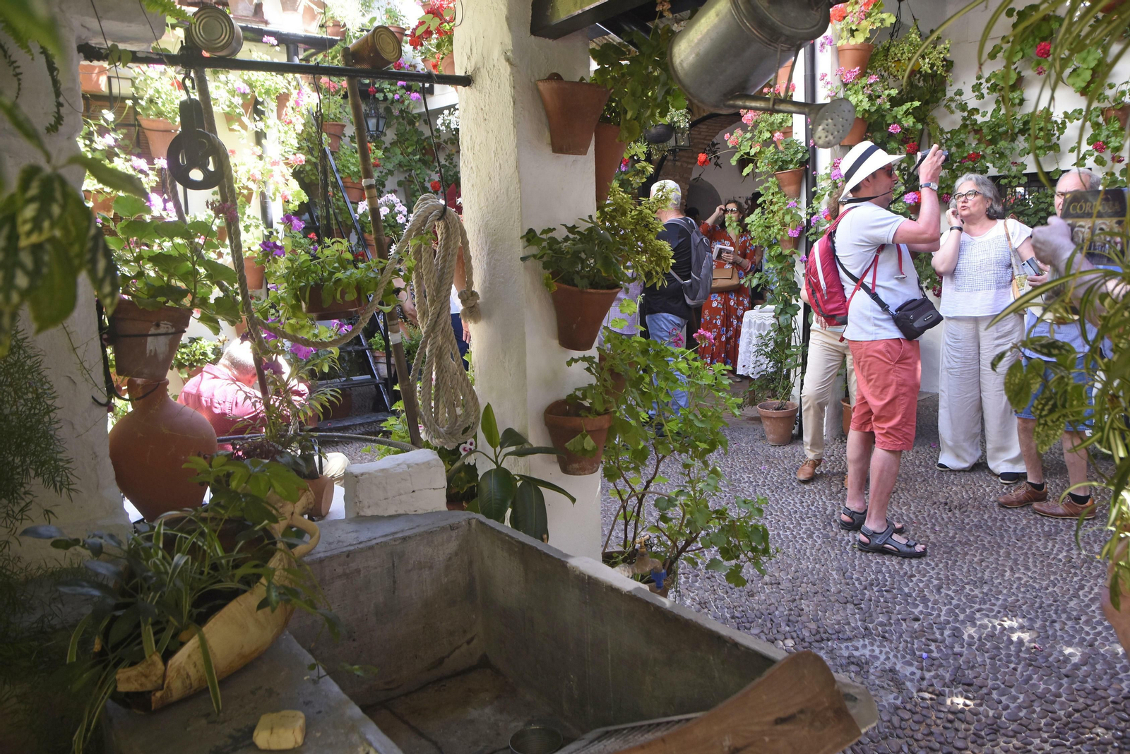 En imágenes: la ruta de los Patios del Alcázar Viejo
