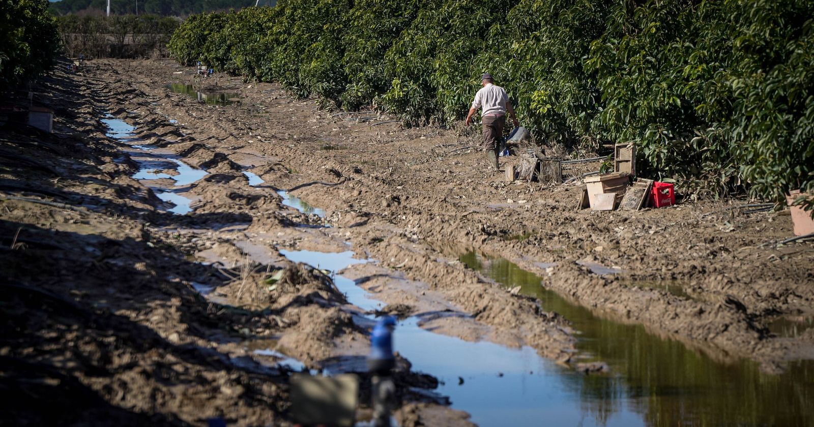 Imágenes de la visita de Juanma Moreno y el comisario europeo de Agricultura a los campos afectados por el temporal en Jerez