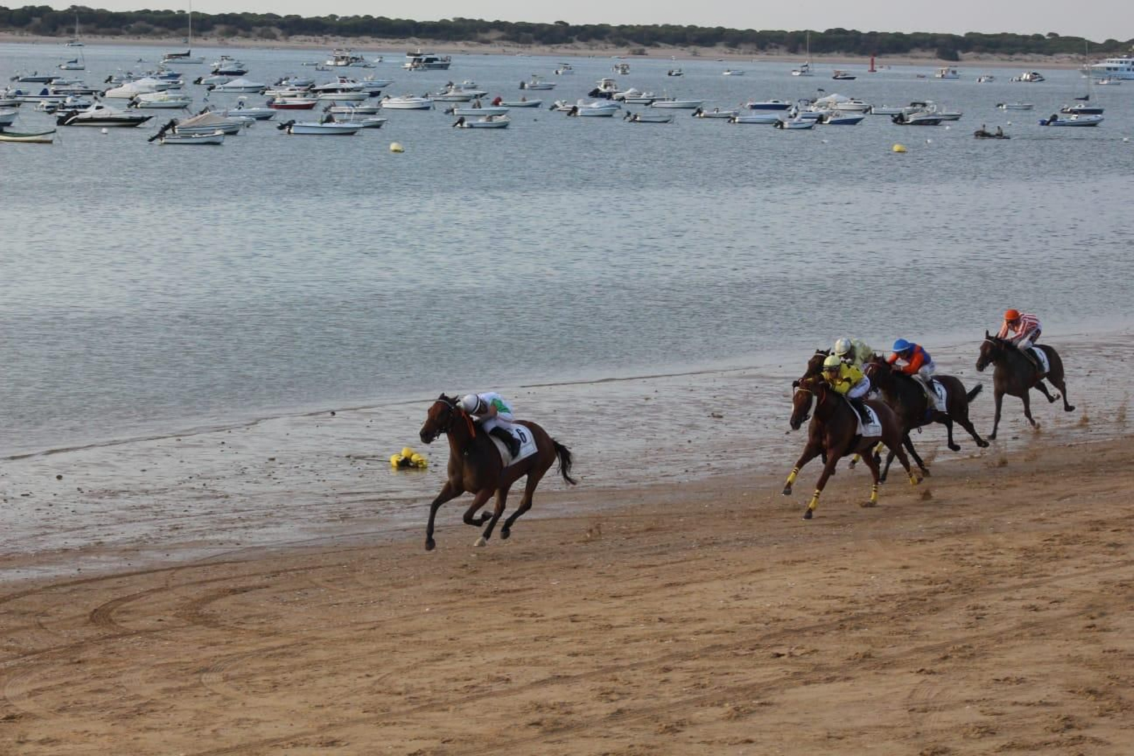 Imágenes del tercer día de las Carreras de Caballos de Sanlúcar.
