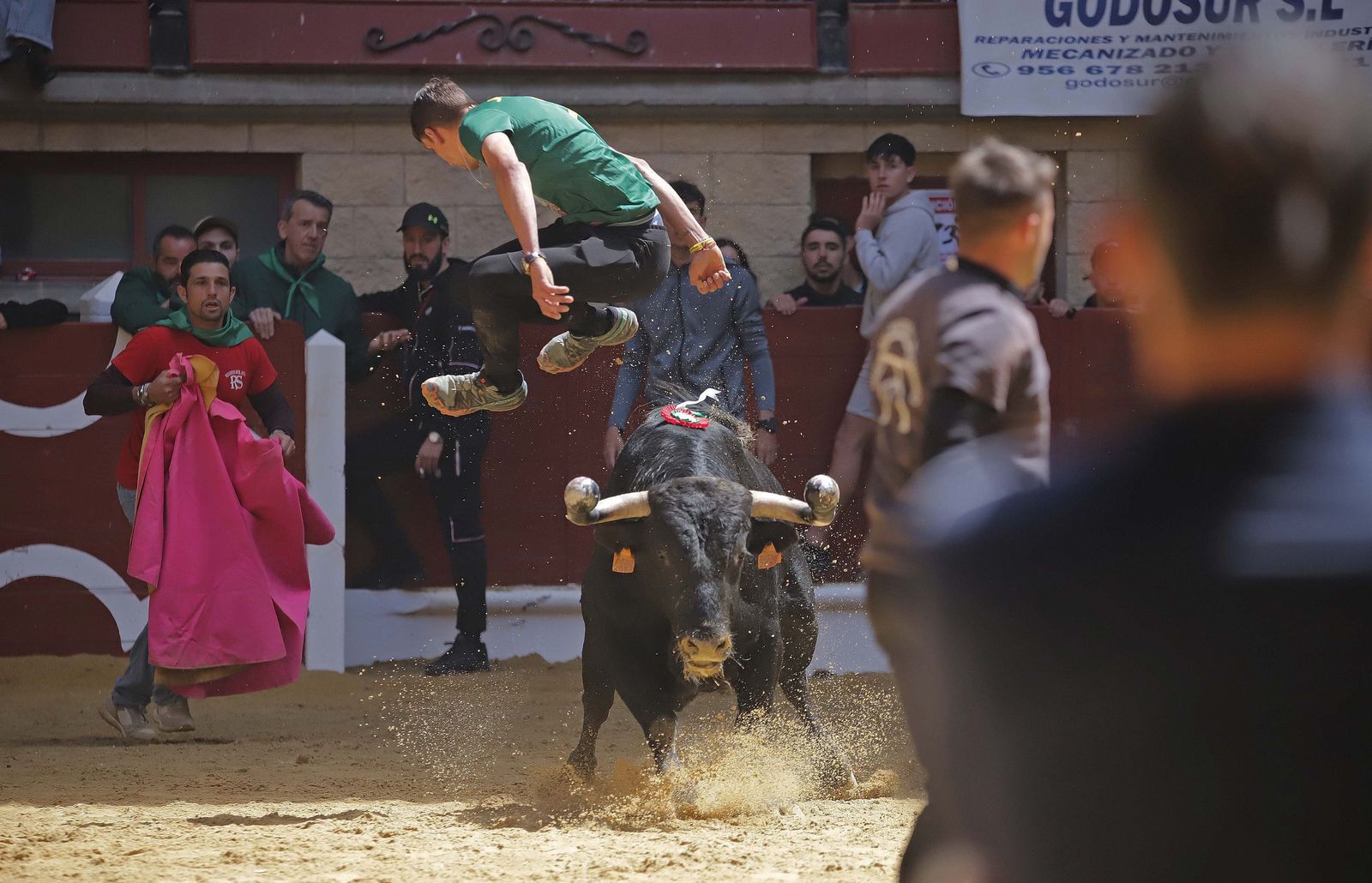 2 TORO EMBOLAO LOS BARRIOS ERASMO (213)