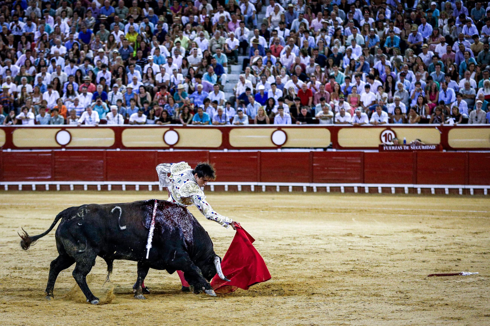 Imágenes de la corrida de toros en El Puerto: Manzanares, Roca Rey y Pablo Aguado