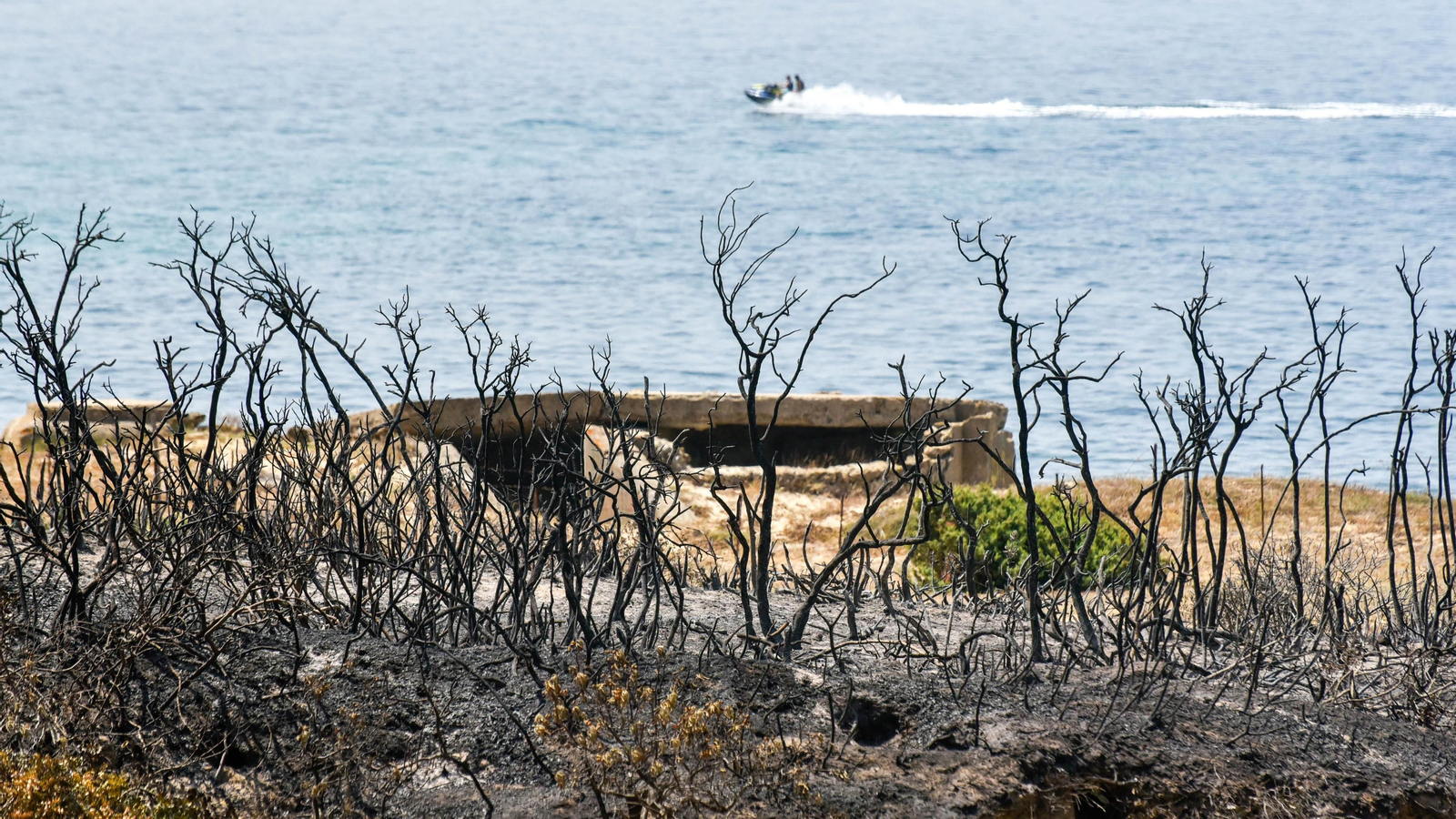 Fotos del incendio de Valdevaqueros que arrasó con 11 hectáreas de Parque Natural del Estrecho Las fotos de la zona afectada por el incendio de Valdevaqueros