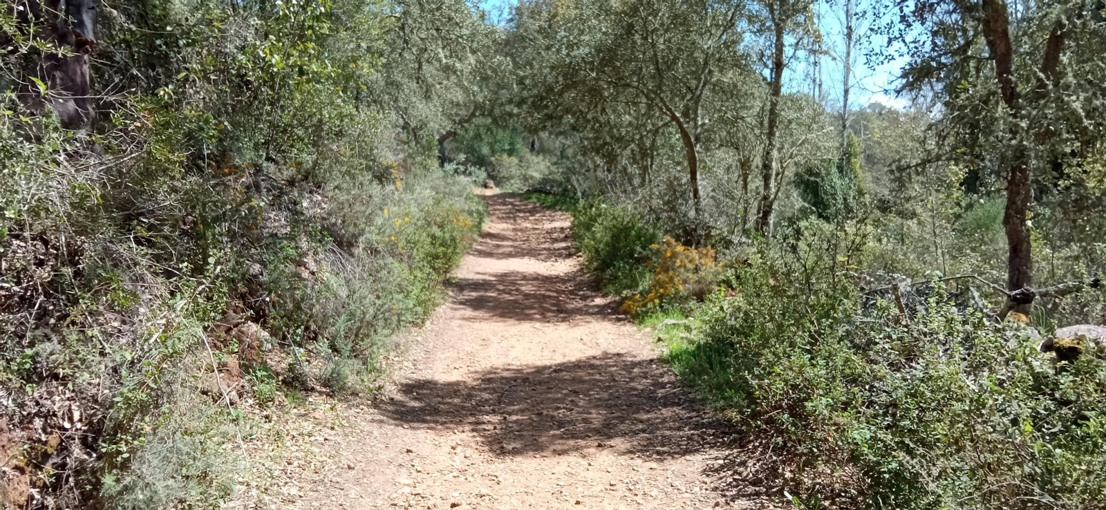 Las imágenes de la ruta de las casas de los Tres Cerditos