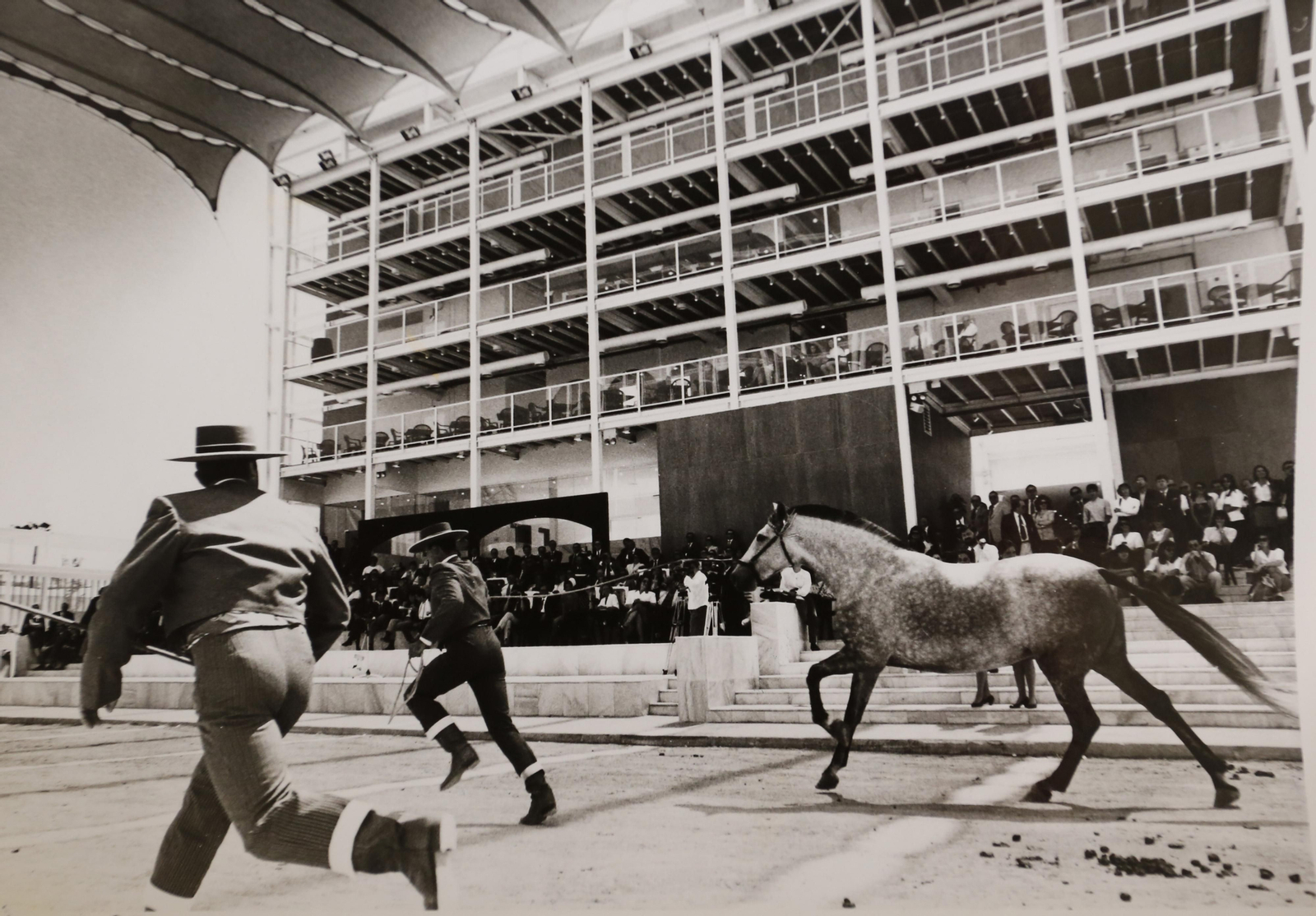 1. Un momento del espectáculo ecuestre en la plaza del pabellón, ante el restaurante principal. 2. Entre los stands del pabellón destacó el del circuito de Jerez, que exhibía varios monoplazas de Fórmula 1. 3. Interior de una de las casetas del pabellón. 4. Una de las diferentes tiendas de productos artesanales de la provincia de Cádiz. 5. La carta de raciones de una de las casetas, con los precios en pesetas escritos a tiza. 6. El capitán Thomas Coram, el robot de látex que invitaba a beber vino de Jerez mientras recitaba a Shakespeare.