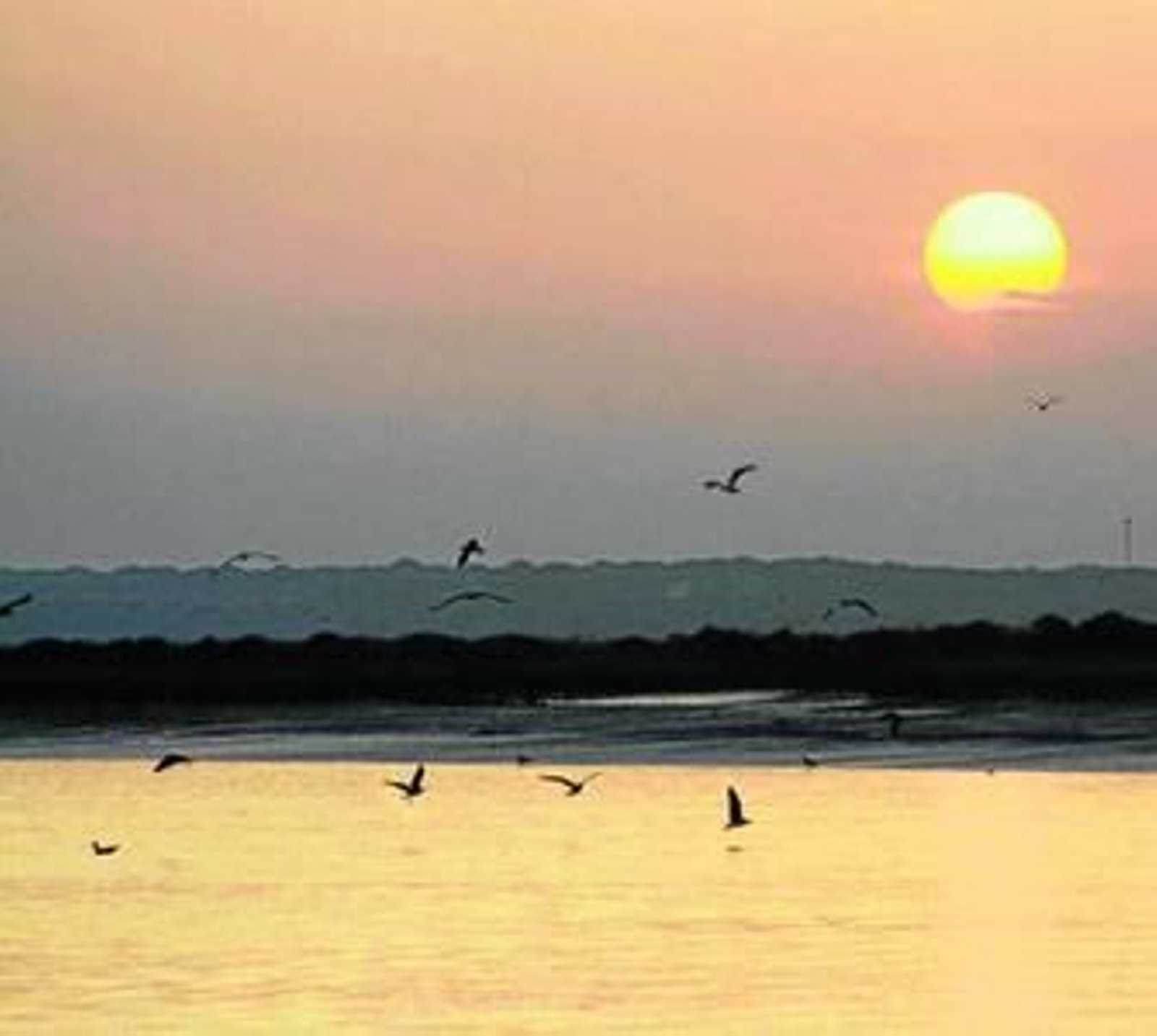 Un atardecer a bordo de un barco