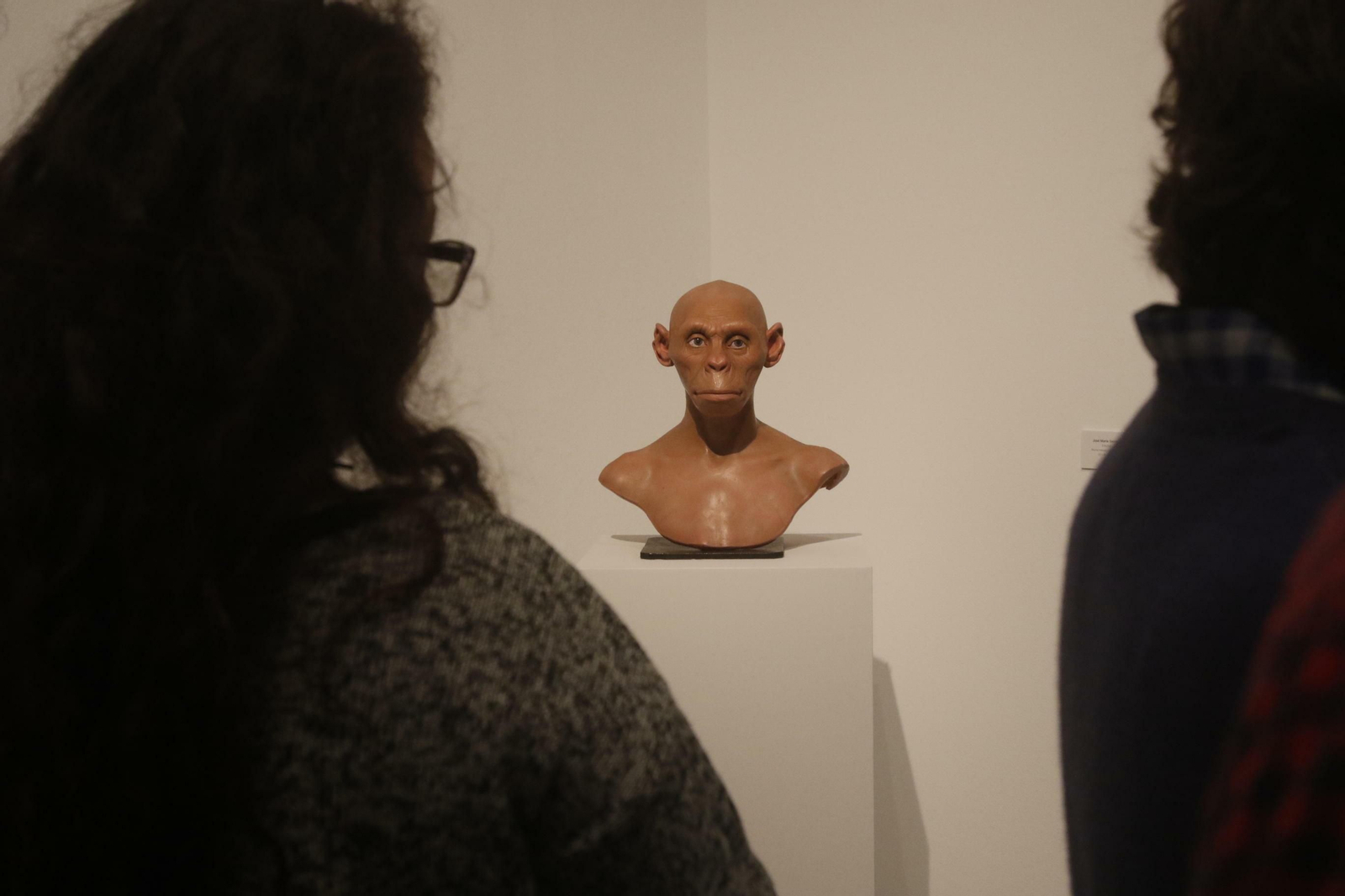 La exposición 'Islas al mediodía' de Córdoba Contemporánea, en fotografías