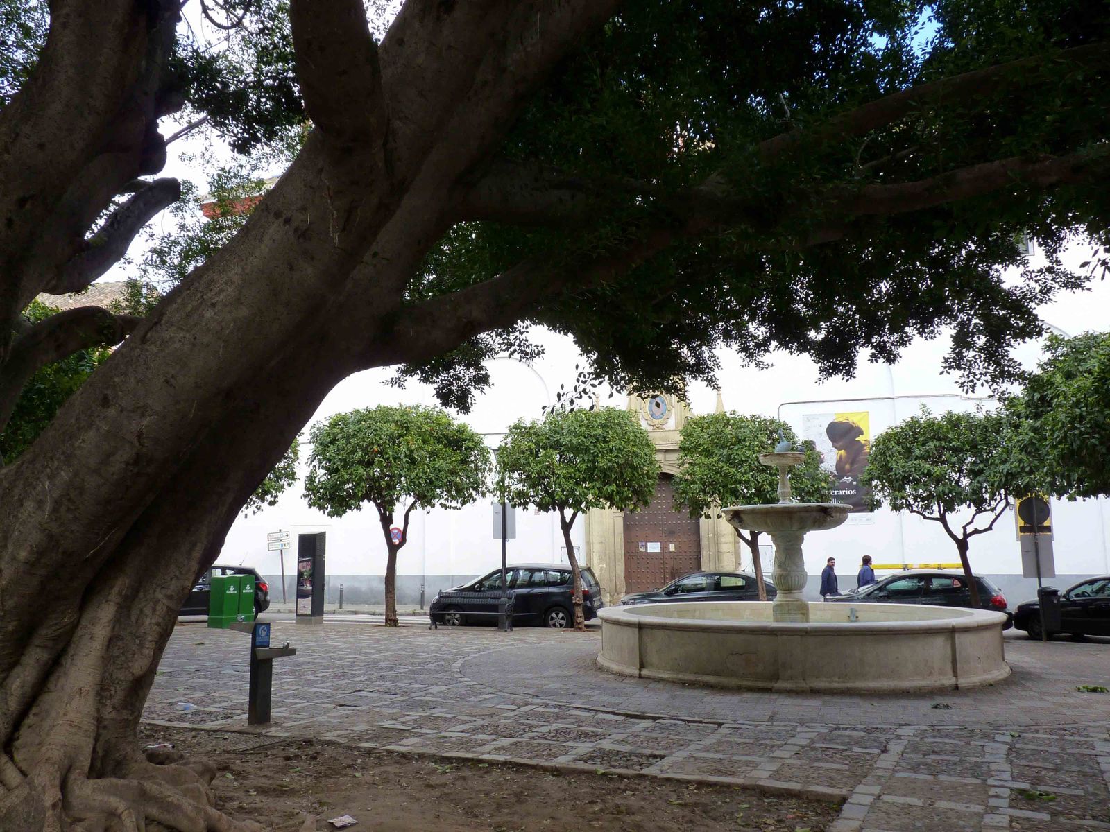 La nómada Pila del Pato y el convento de San Leandro al fondo, pieza fundamentales de esta plaza con el majestuoso laurel de Indias en primer plano.