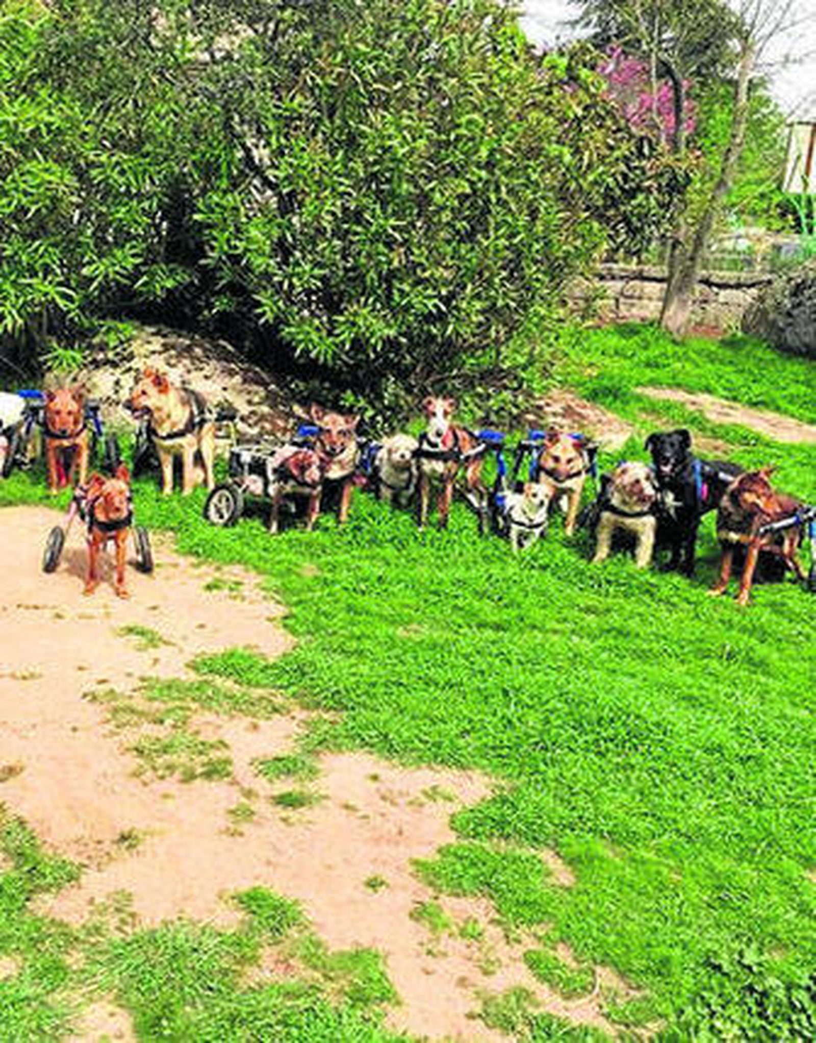 Las sillas de la segunda oportunidad