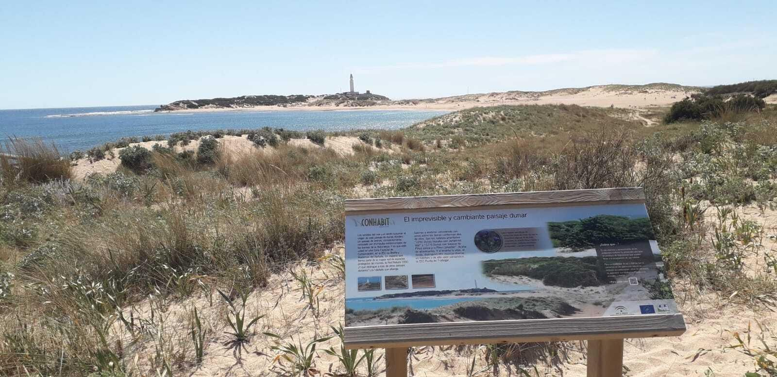 Excavación de las termas romanas en los Caños de Meca