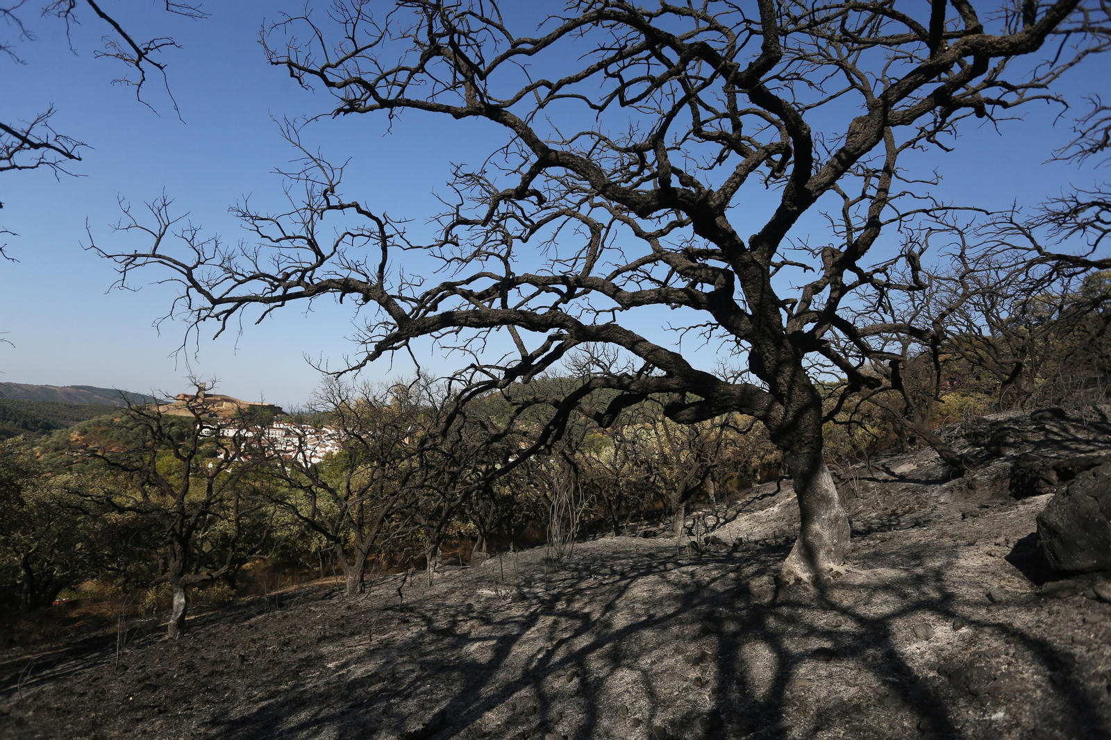 Imágenes del área afectada por el fuego del segundo día en el incendio de Almonaster