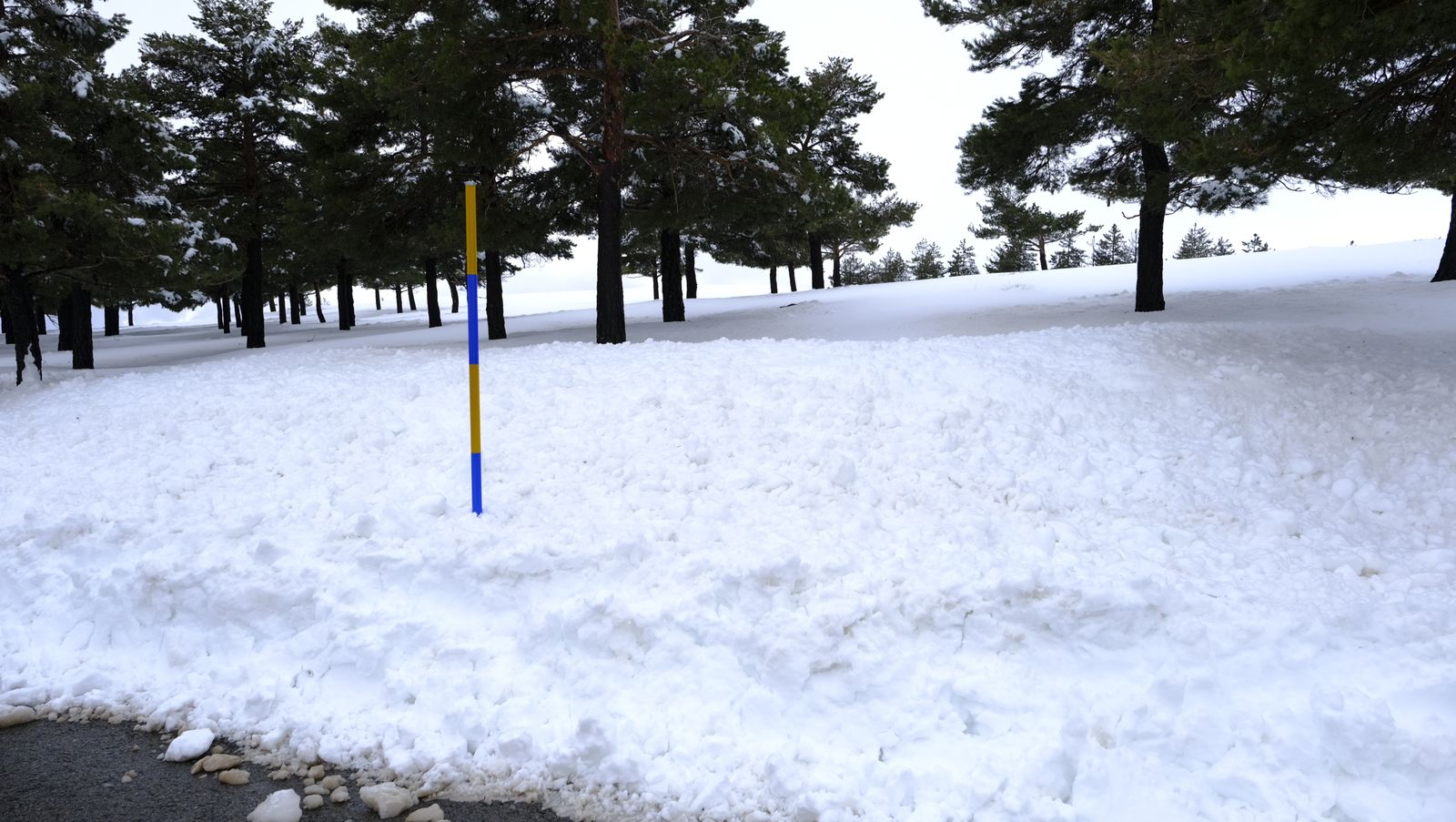Imágenes del temporal de nieve en la provincia de Almería.