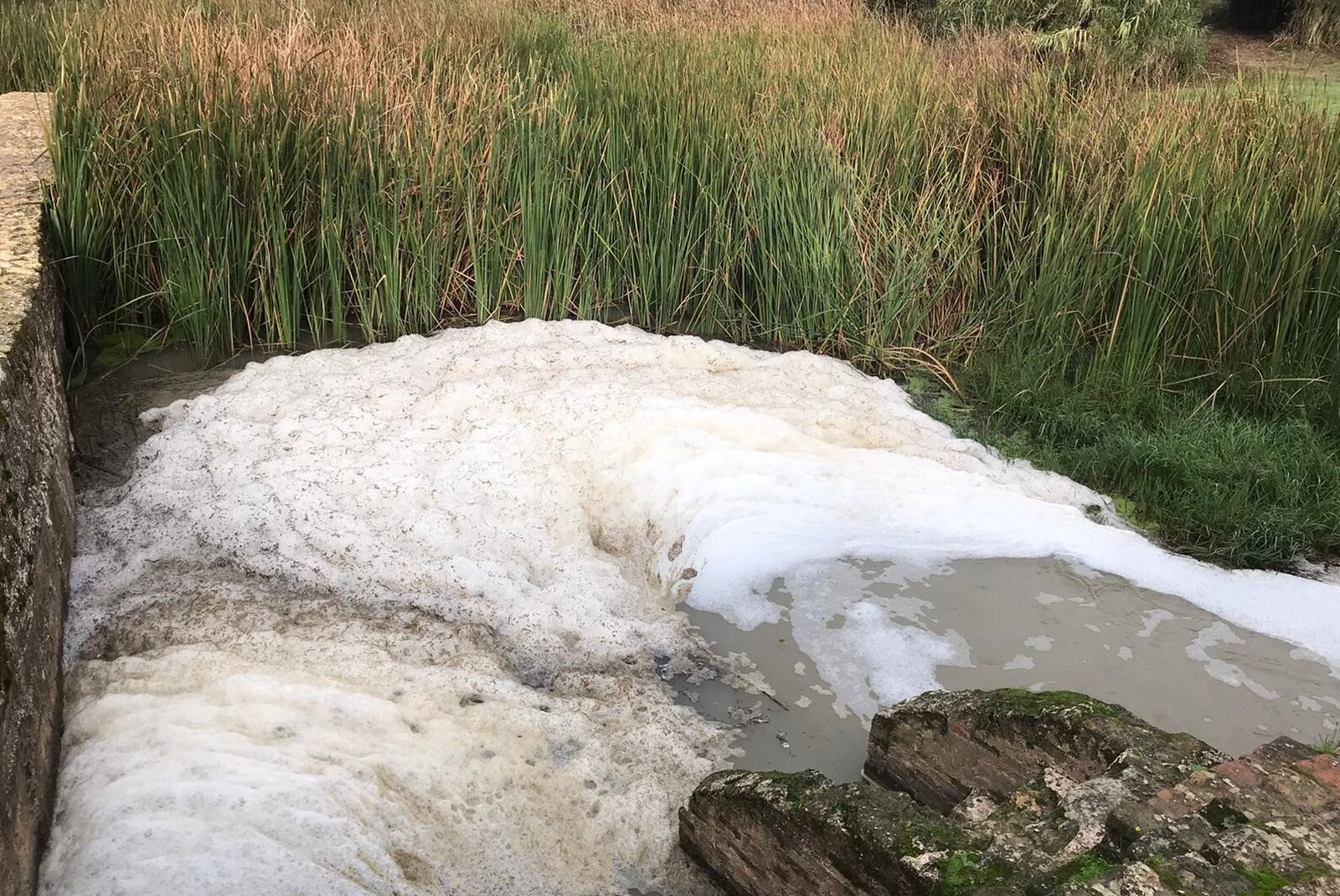 Las espumas detectadas por el Ayuntamiento de Alcalá en el río Guadaíra.
