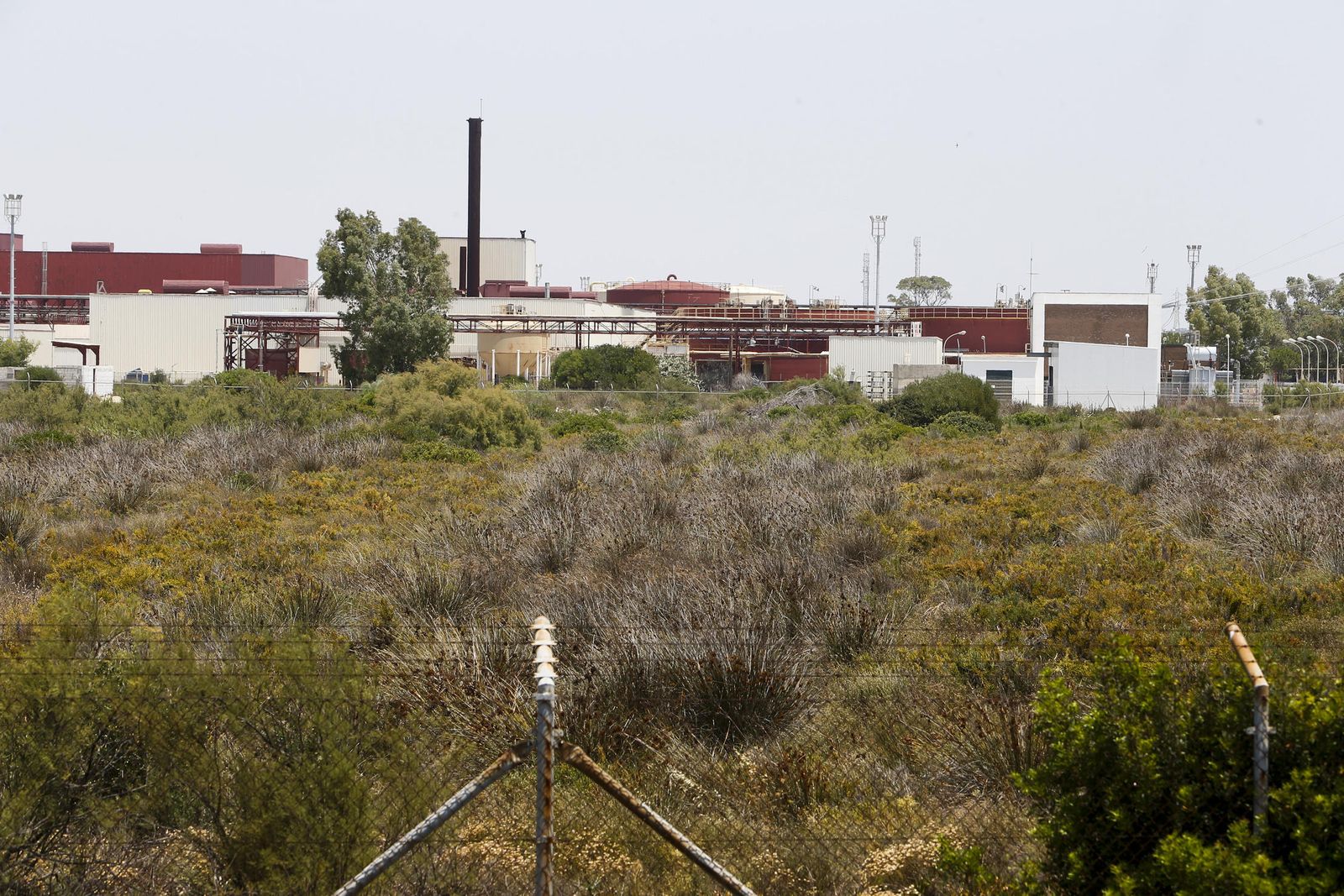 Imagen de archivo del terreno anexo a la antigua fábrica de Delphi, en Puerto Real.
