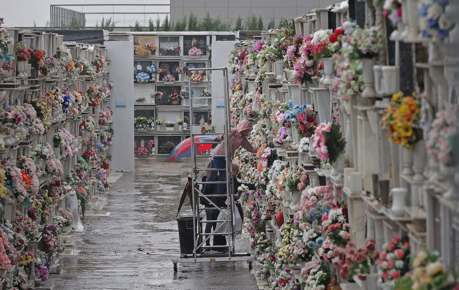 Fotos de los preparativos para Tosantos en el cementerio de Algeciras
