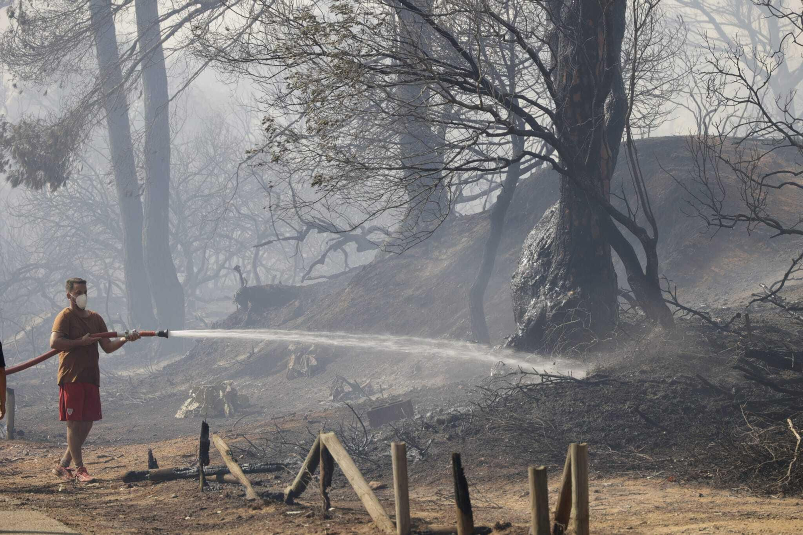 El fuego arrasa Las Canteras en Puerto Real