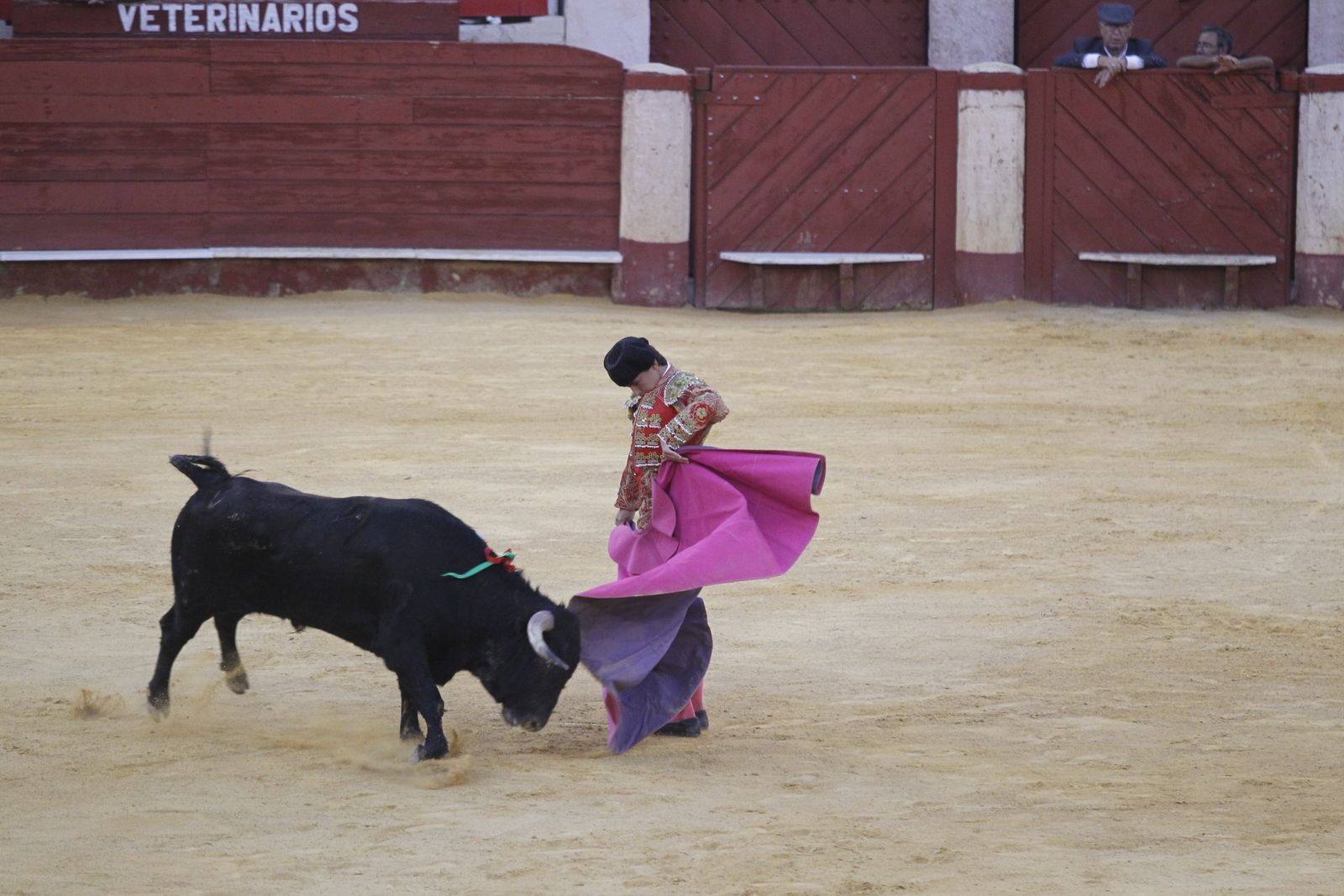 Fotogalería novillada Escuela Taurina de Almería. Feria de Almería 2019
