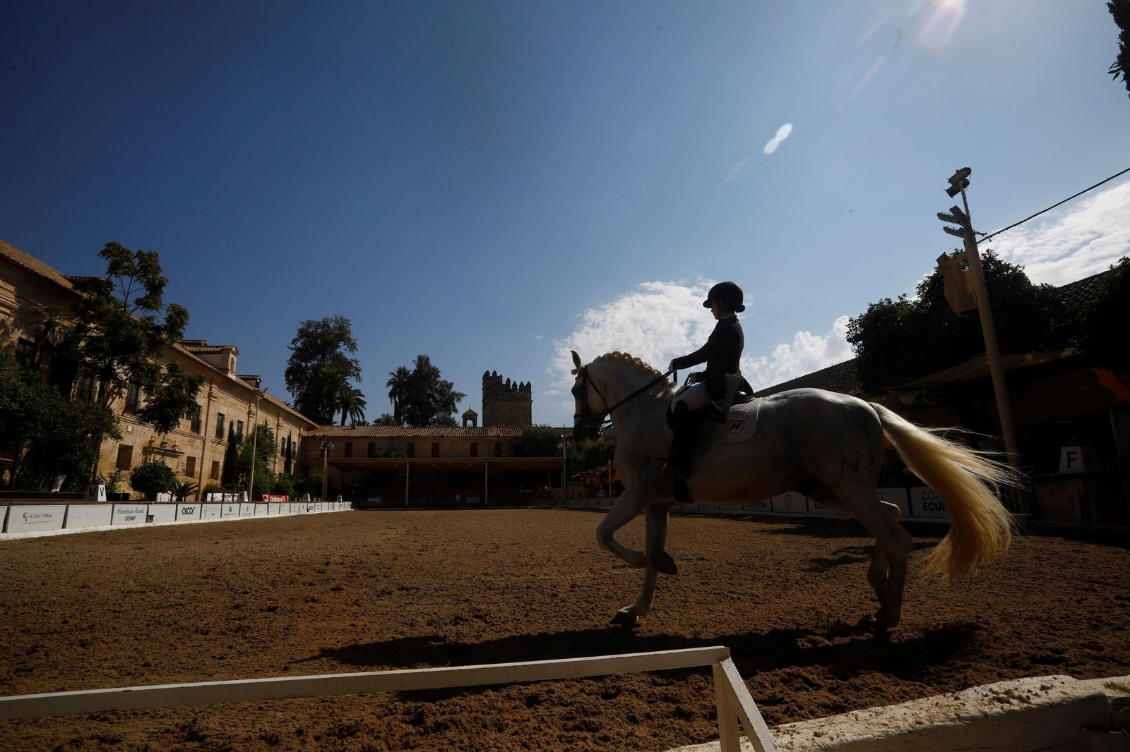 El concurso nacional de Doma Clásica en las Caballerizas Reales de Córdoba