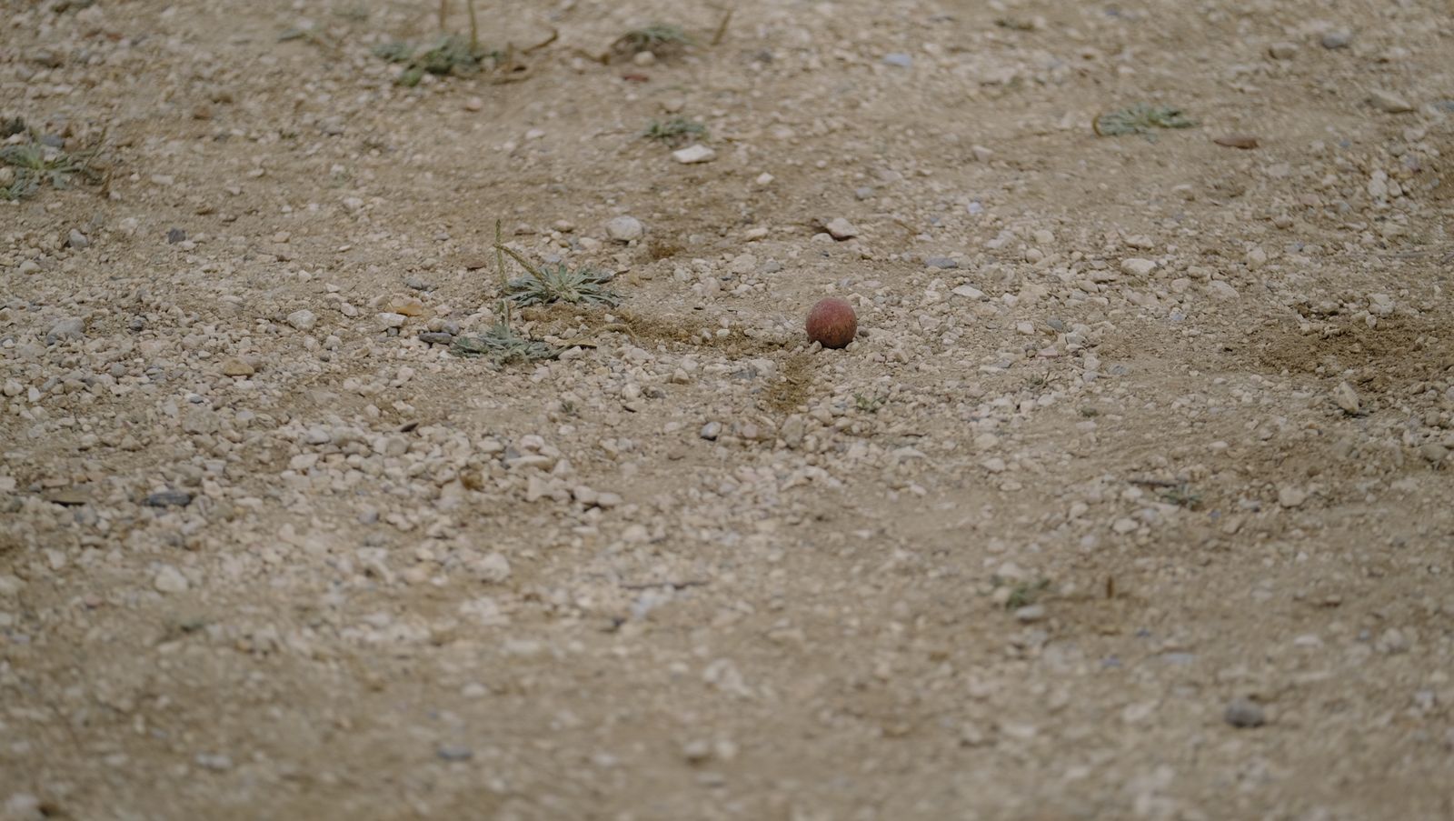 Las mejores imágenes del Campeonato de España de Petanca en Vélez Rubio