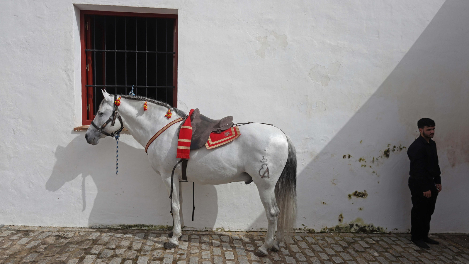 Fotos del espectáculo 'Cómo bailan los caballos andaluces' en San Roque