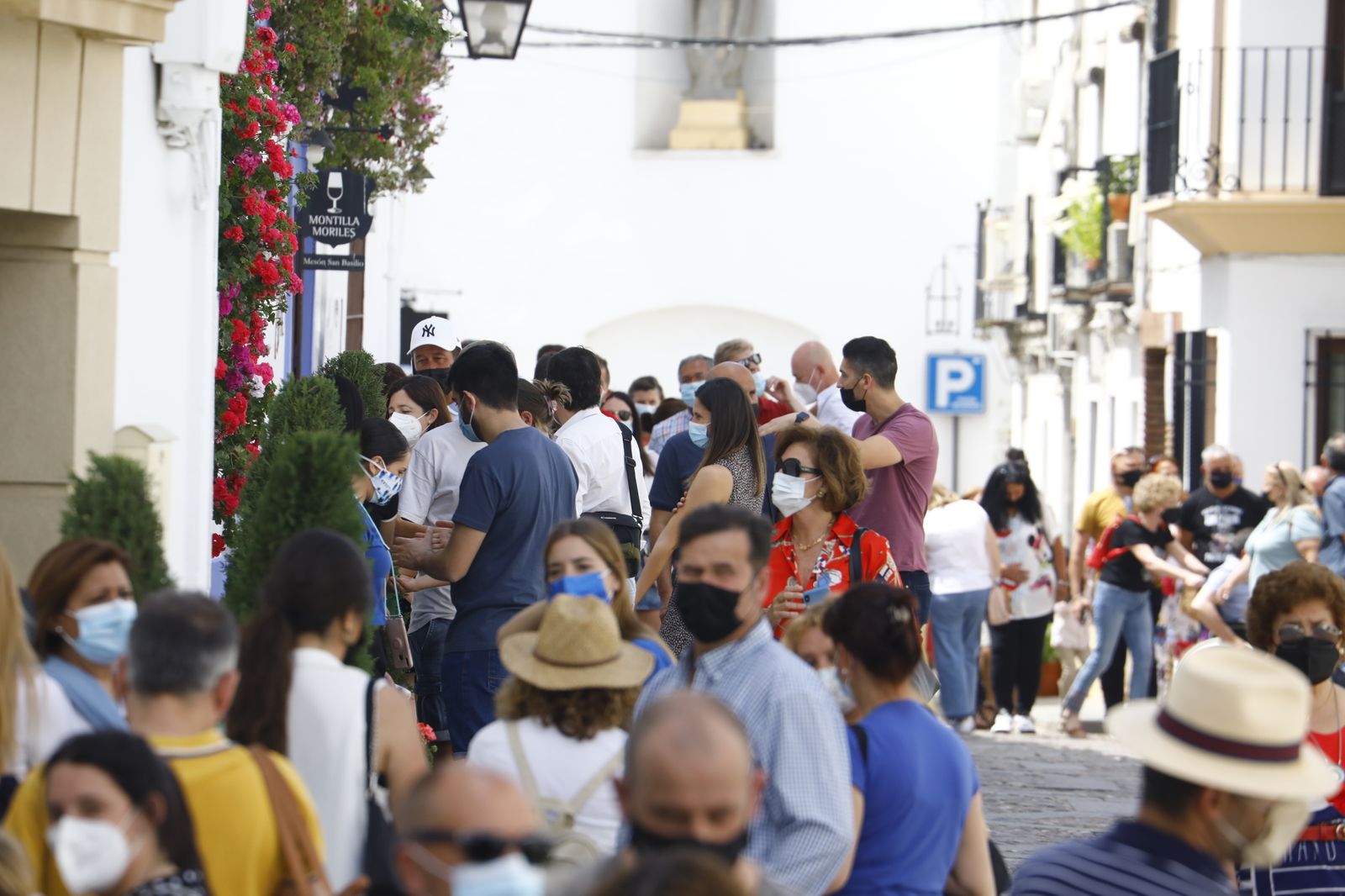 Fotografías: Sábado de colas y bulla en los Patios de Córdoba