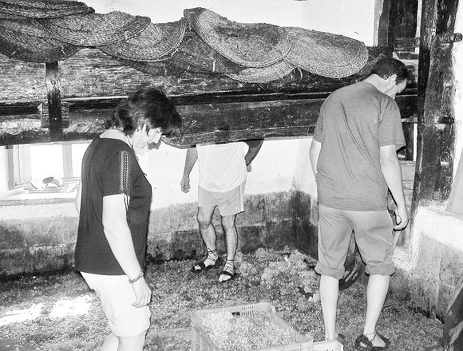 El lado más verde de la Costa del Sol