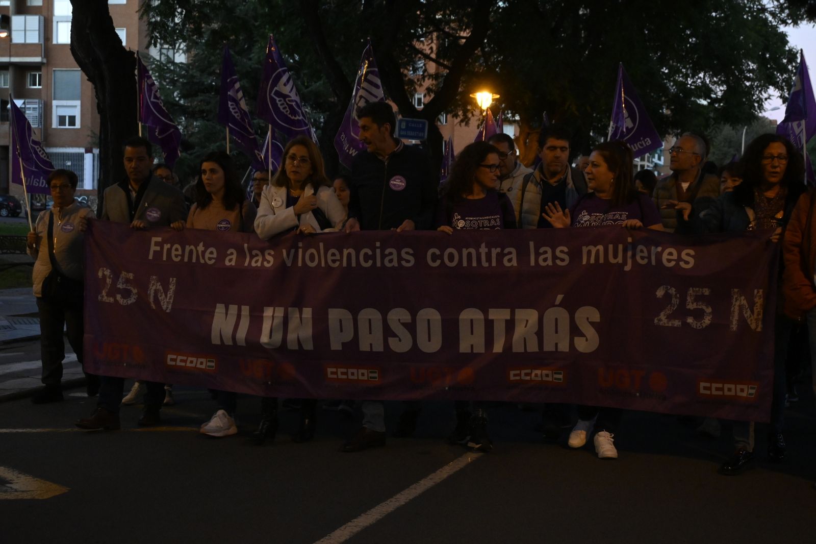 Manifestación del 25N en Imágenes.