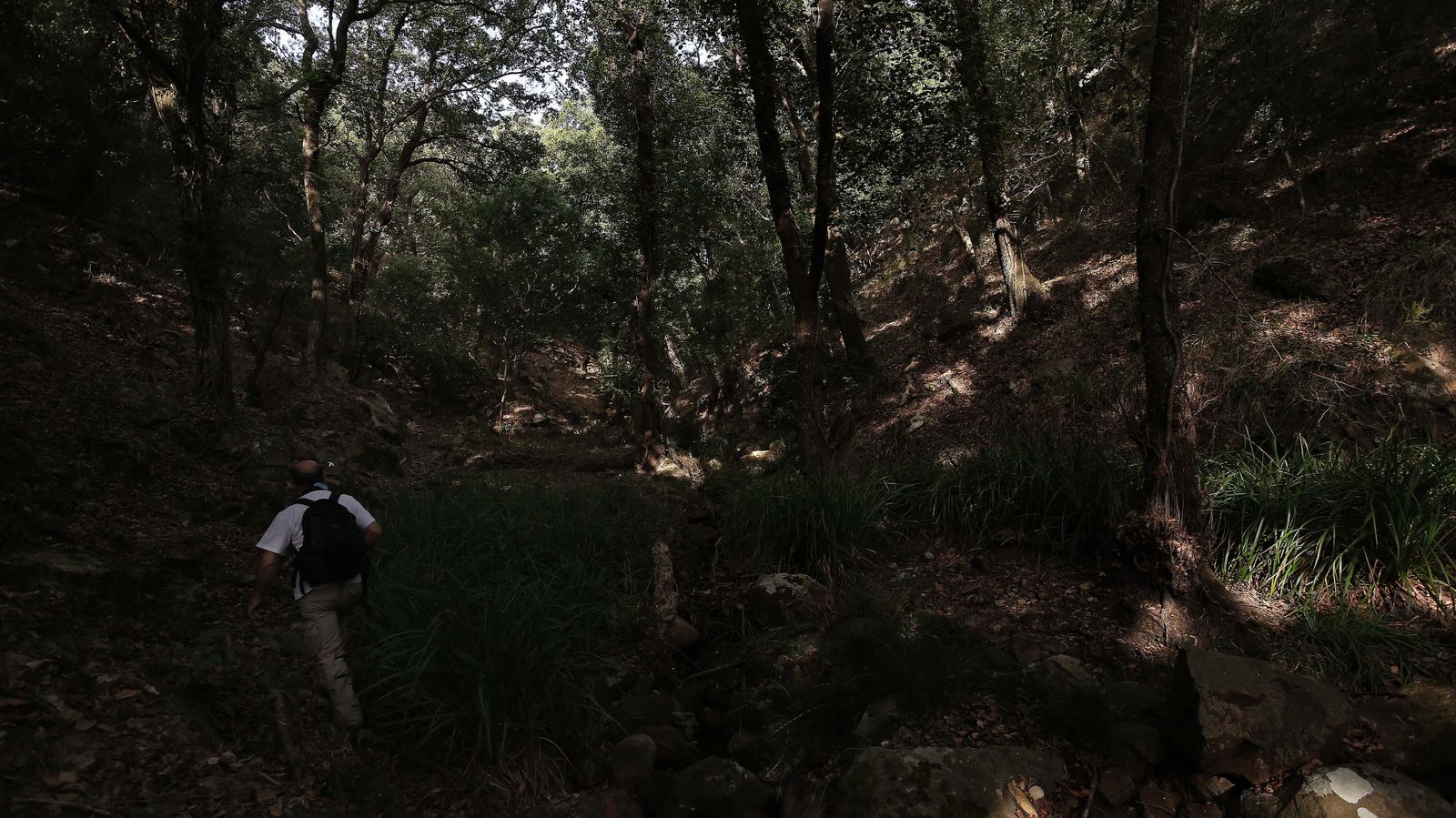 Las mejores fotos de San Carlos del Tiradero