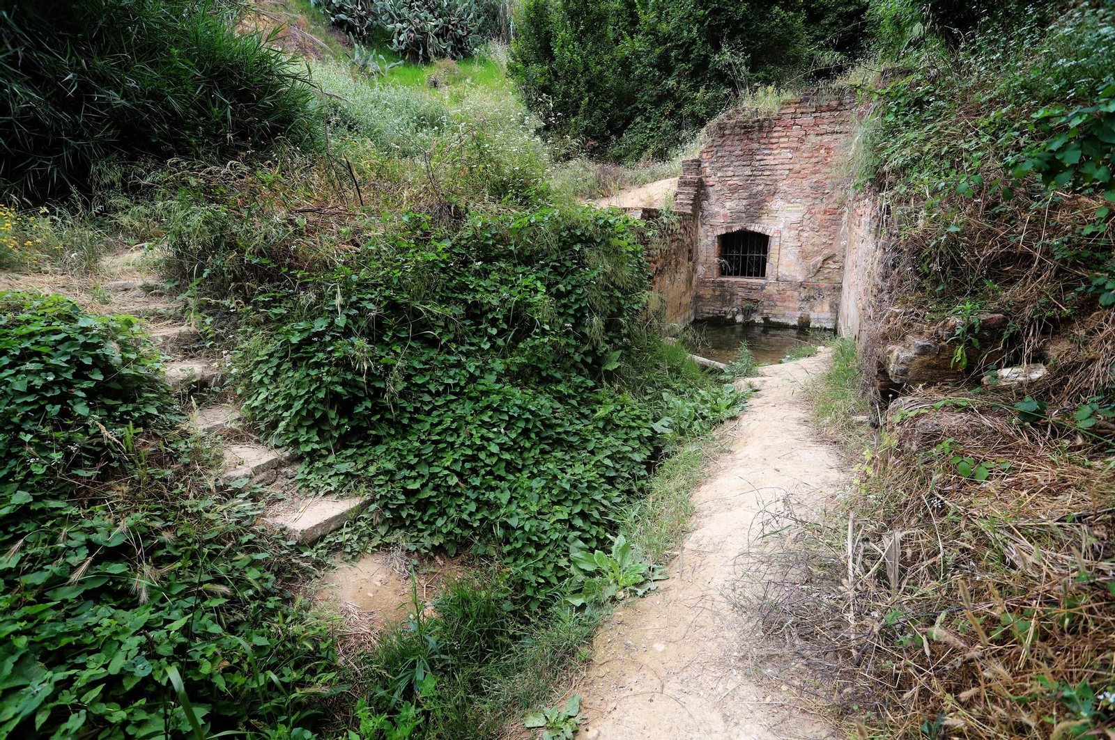 Imágenes del estado de abandono en el que se encuentra la Fuente Vieja y su entorno