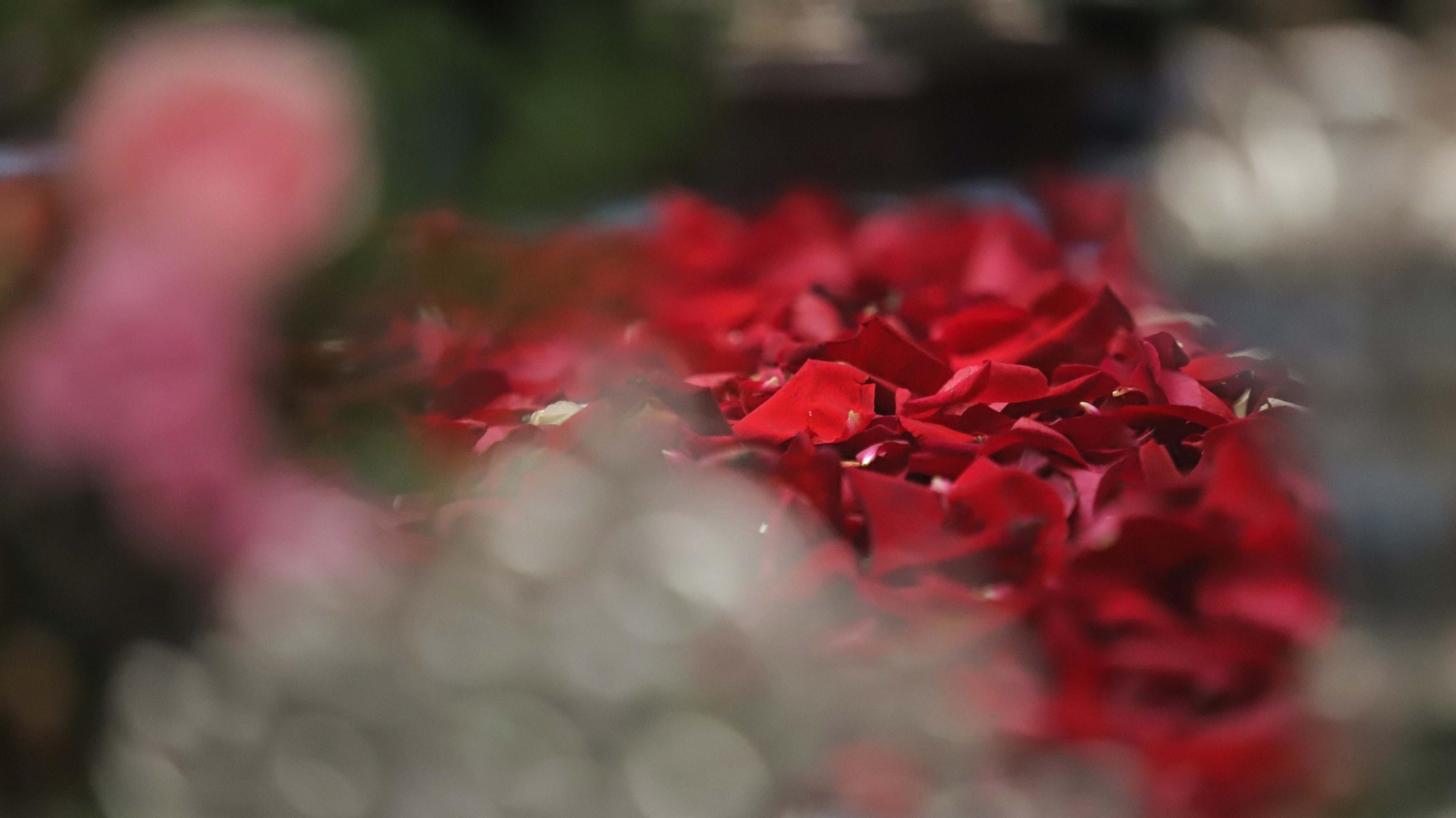 Fotos de la veneración de la Inmaculada Concepción en La Línea