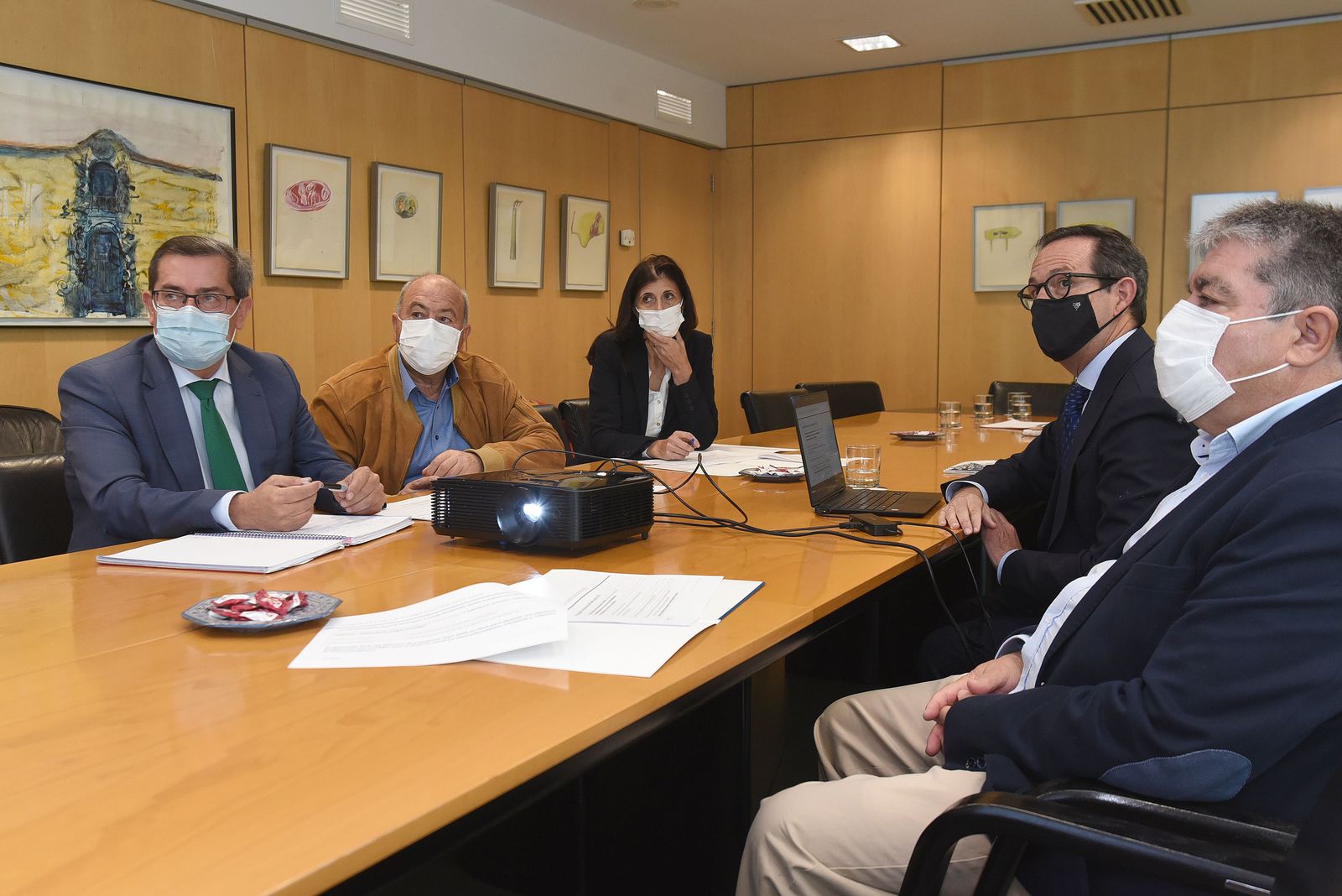 Reunión entre la Diputación de Granada y Red Eléctrica.