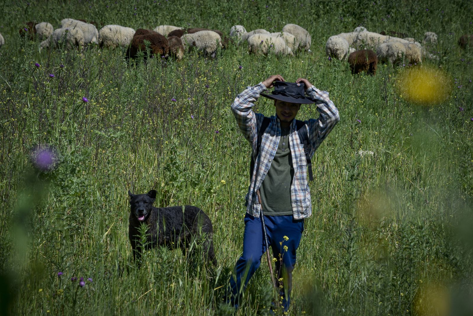 La resistencia en los pueblos de Sevilla al Coronavirus: Aguadulce