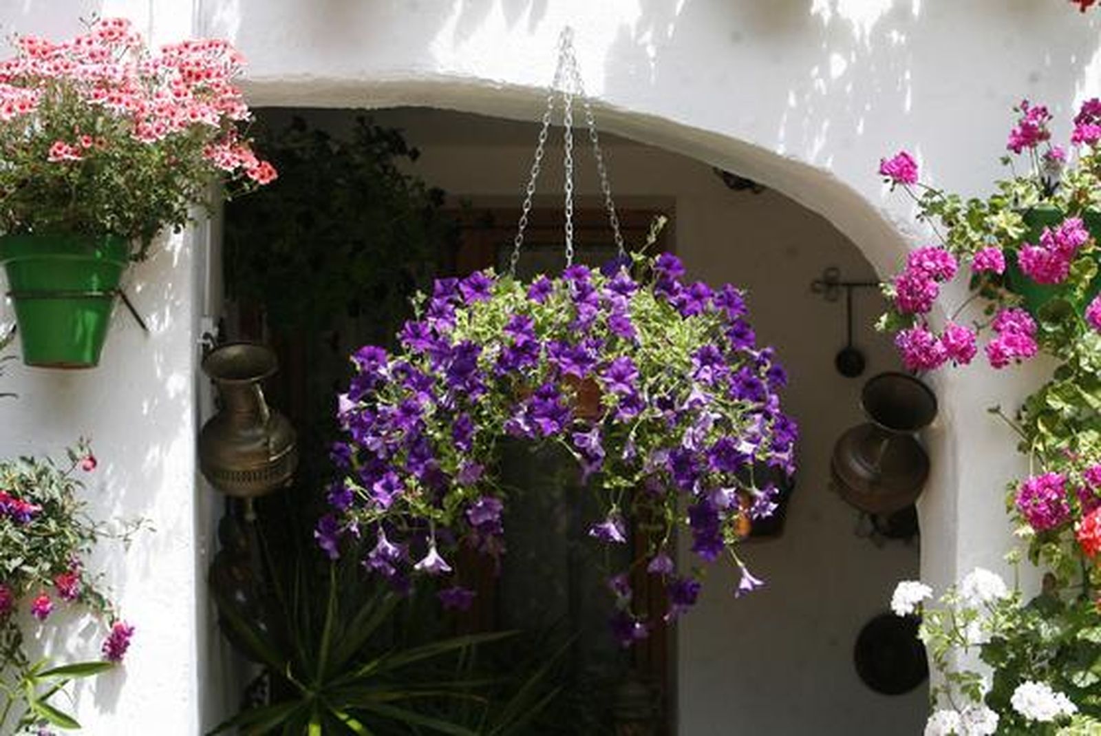 Parras, 8.

Foto: Jose Martinez