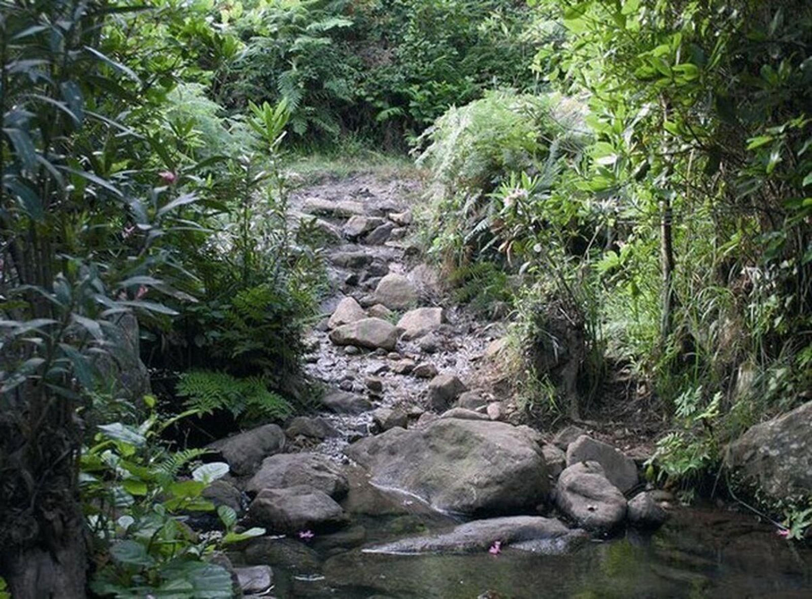 Garganta de la Fuente Santa.