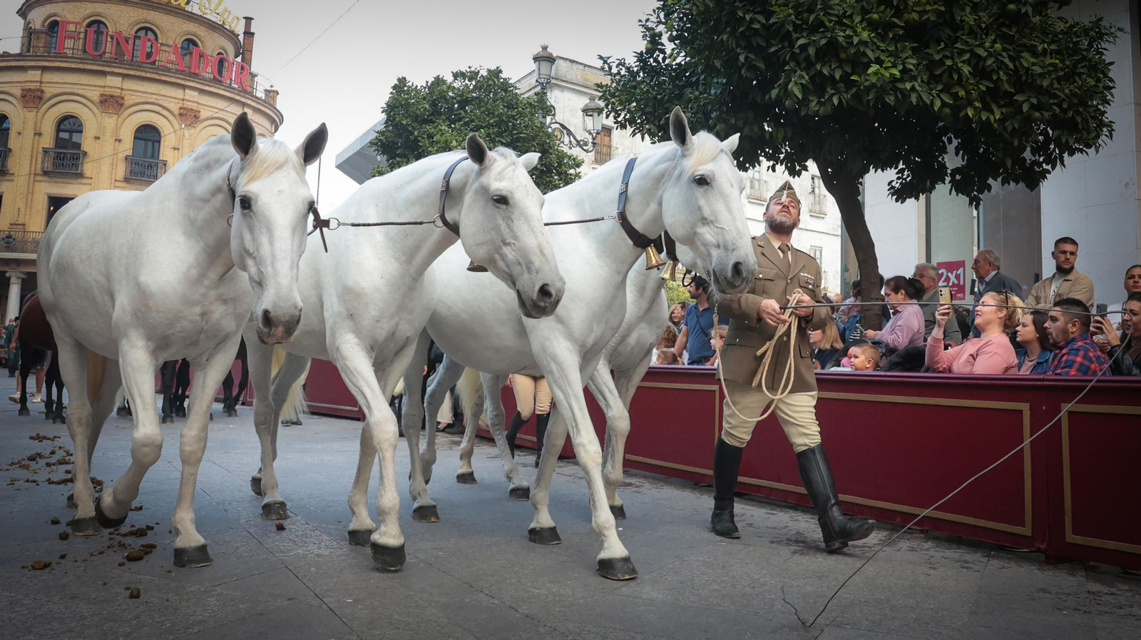Imágenes de la Parada Hípica celebrada en Jerez