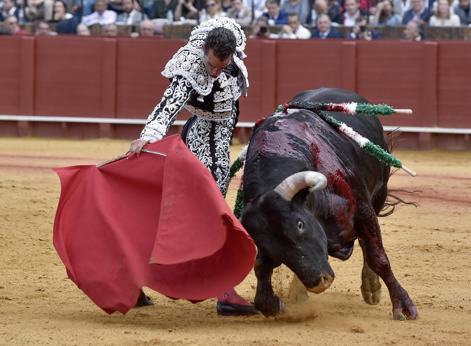 Las imágenes de la 14ª de abono de la Maestranza