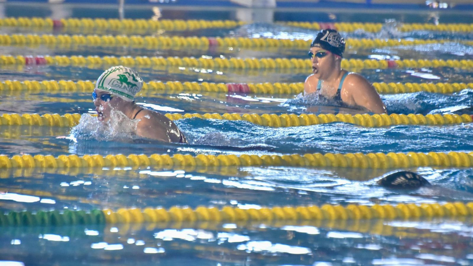 Un grupo de mujeres nadan durante una competición de natación en categoría máster.
