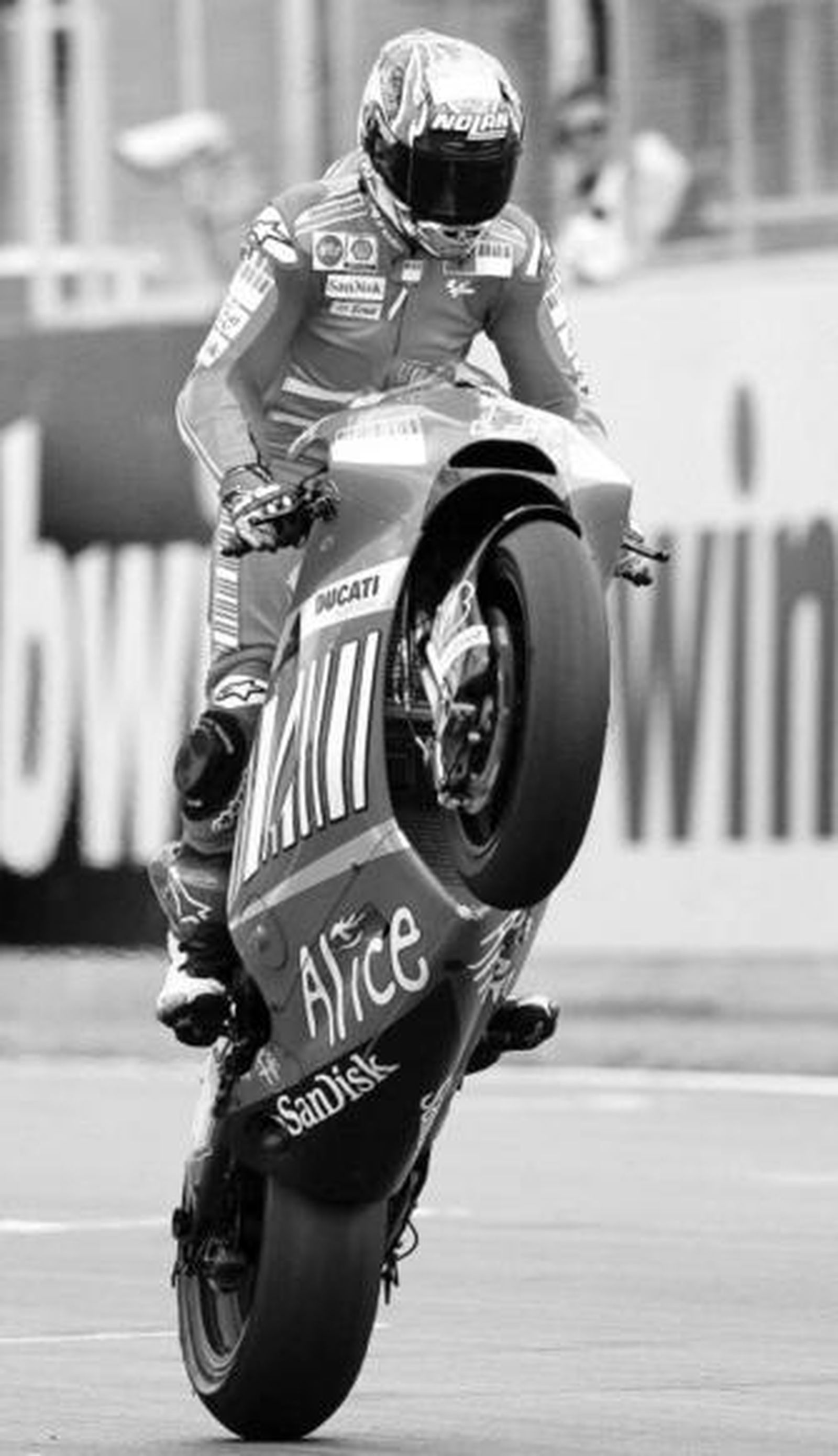 Stoner hacer un caballito tras proclamarse vencedor de la carrera en Moto GP.