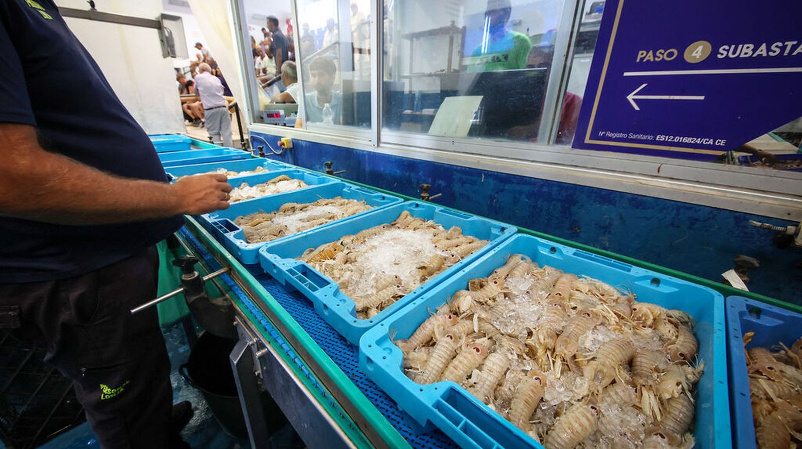 Lonja de Bonanza en Sanlúcar.