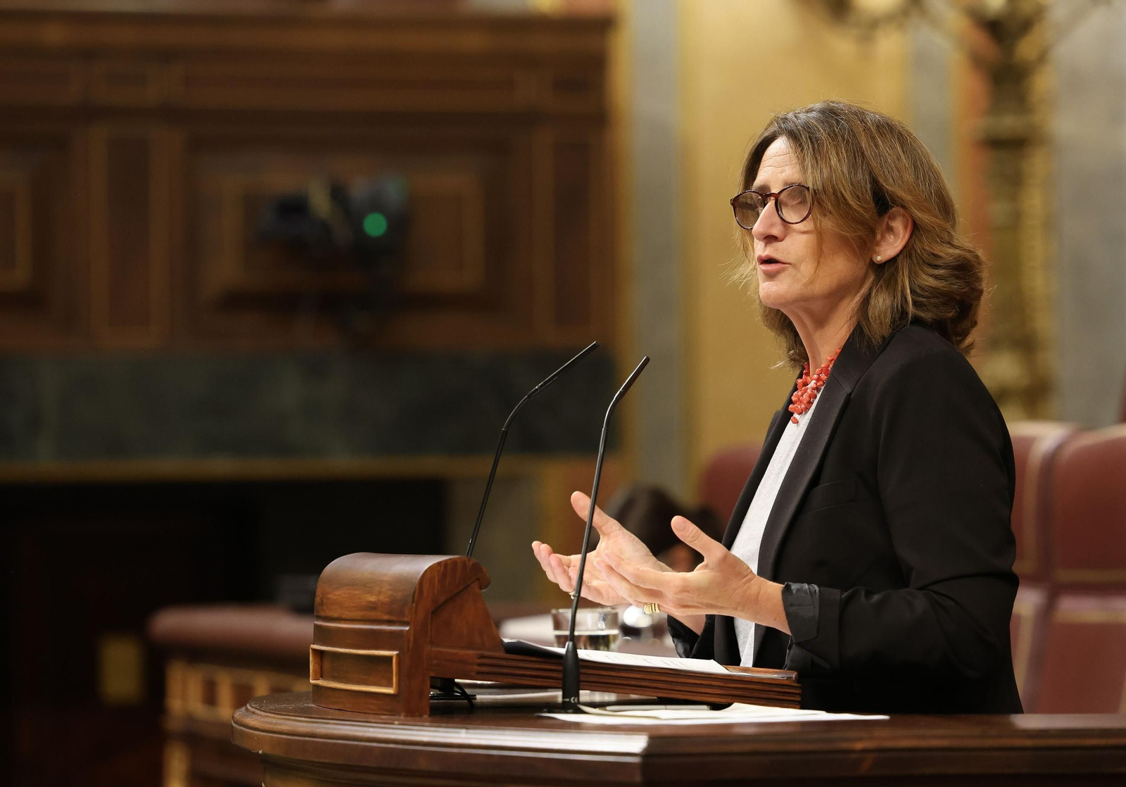 La ministra durante una intervención en el Congreso