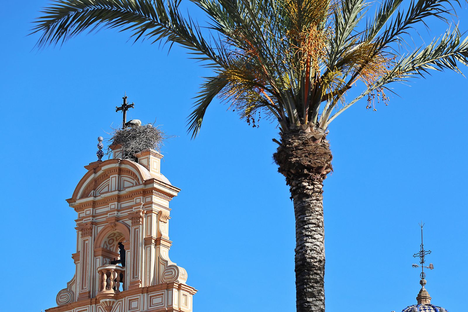 Las imágenes más destacadas del miércoles 8 de mayo en Huelva