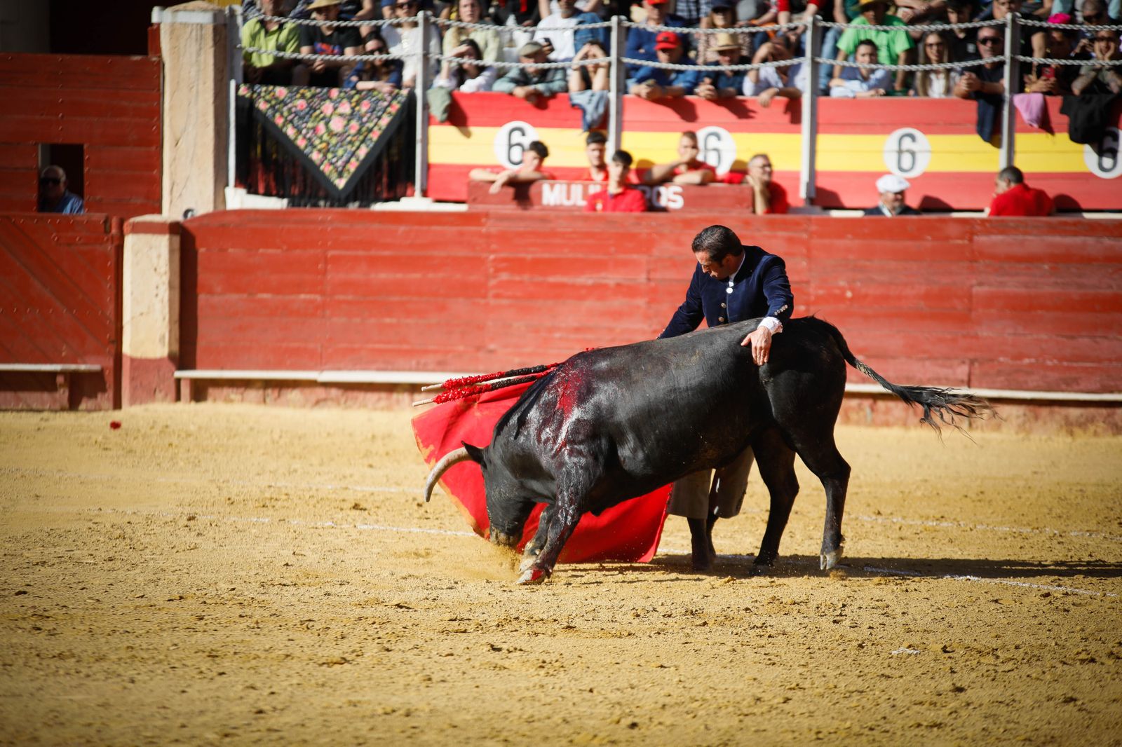 Imágenes del festival mixto lucha contra el cáncer