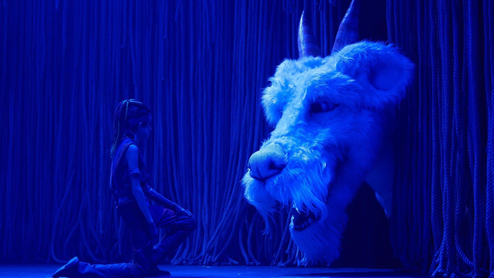 La escenografía incorpora 11 kilómetros de cuerdas azules pintadas a mano y 2.987 libros reales.