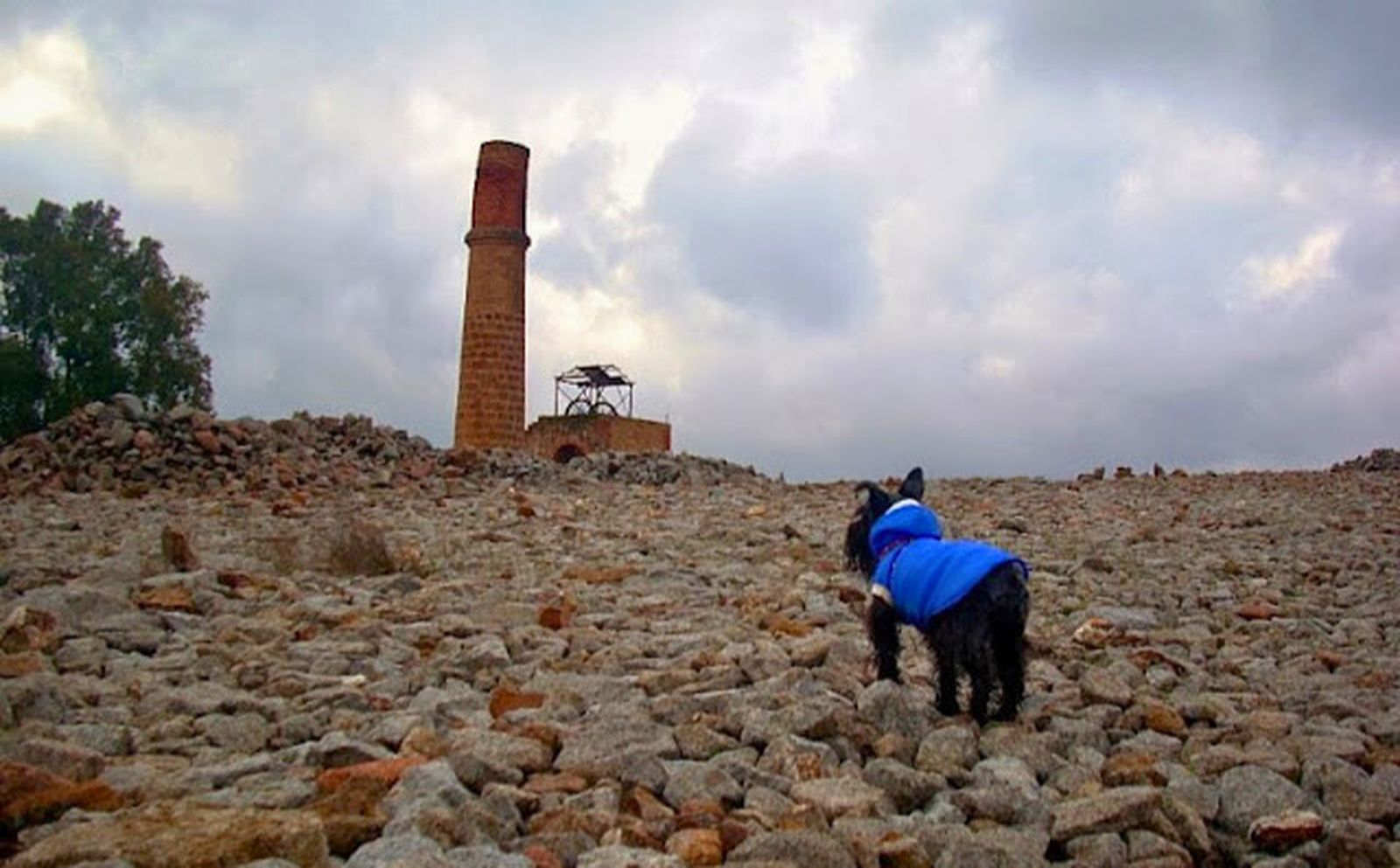 De Linarejos a los pozos mineros: la ruta más sorprendente del antiguo distrito minero, en imágenes